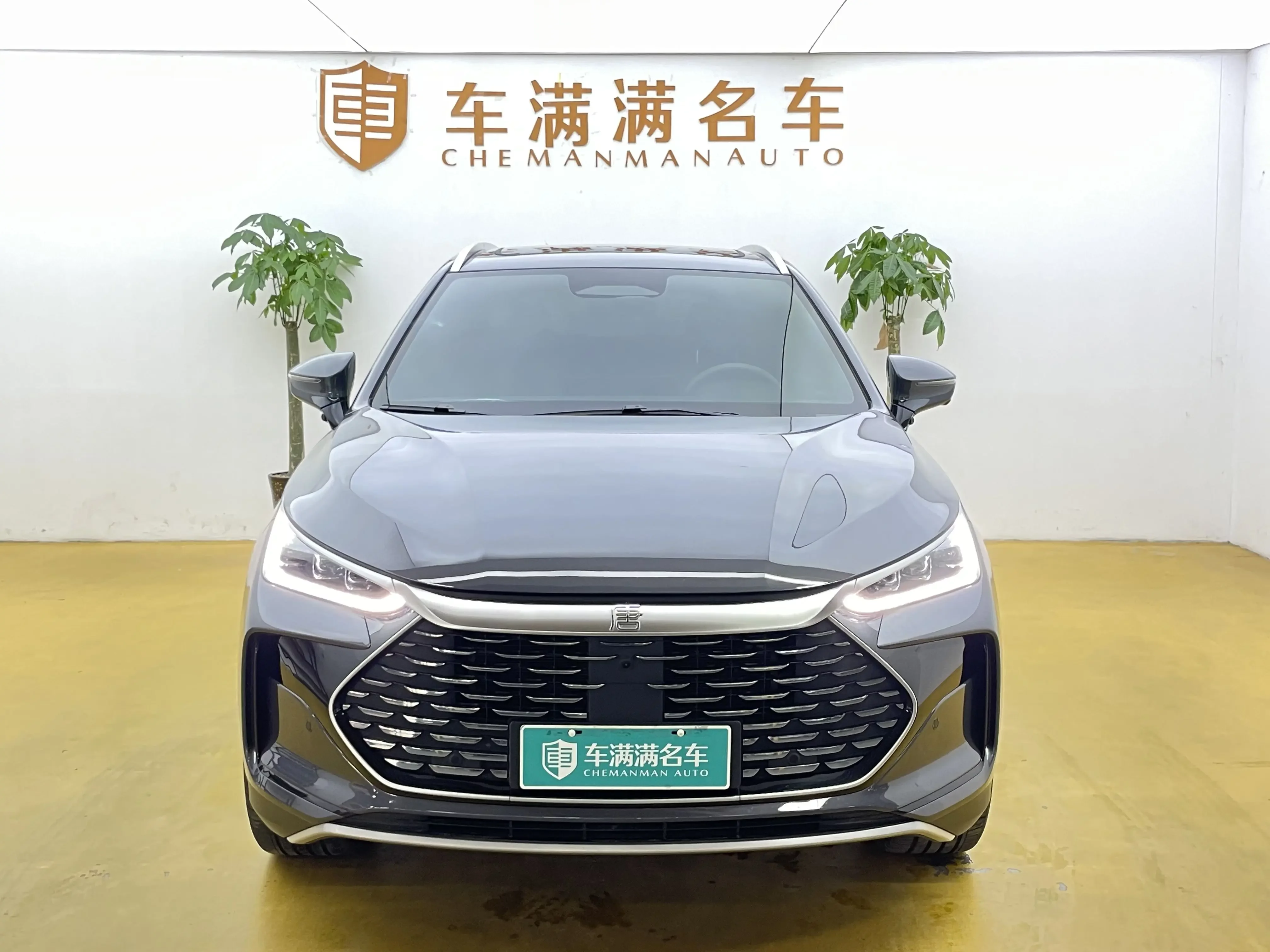 BYD Tang DM