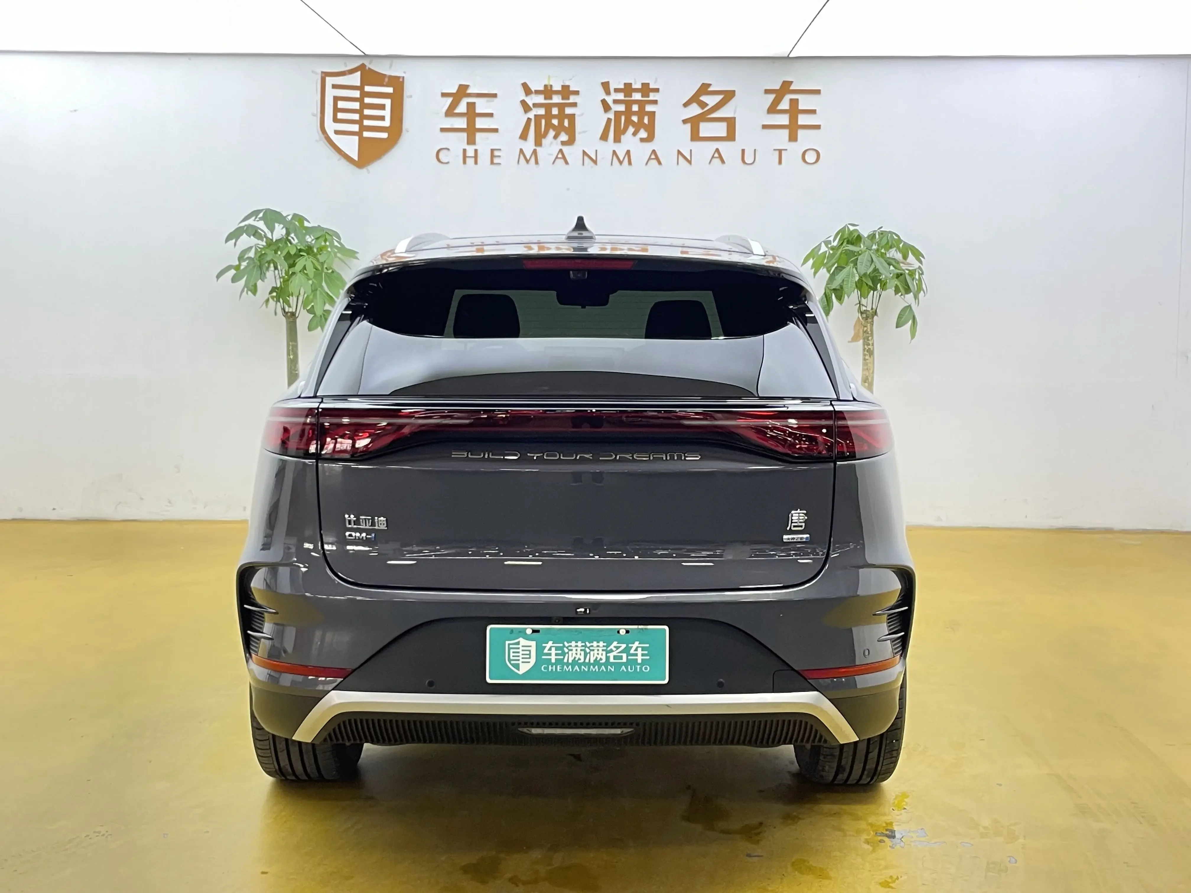 BYD Tang DM