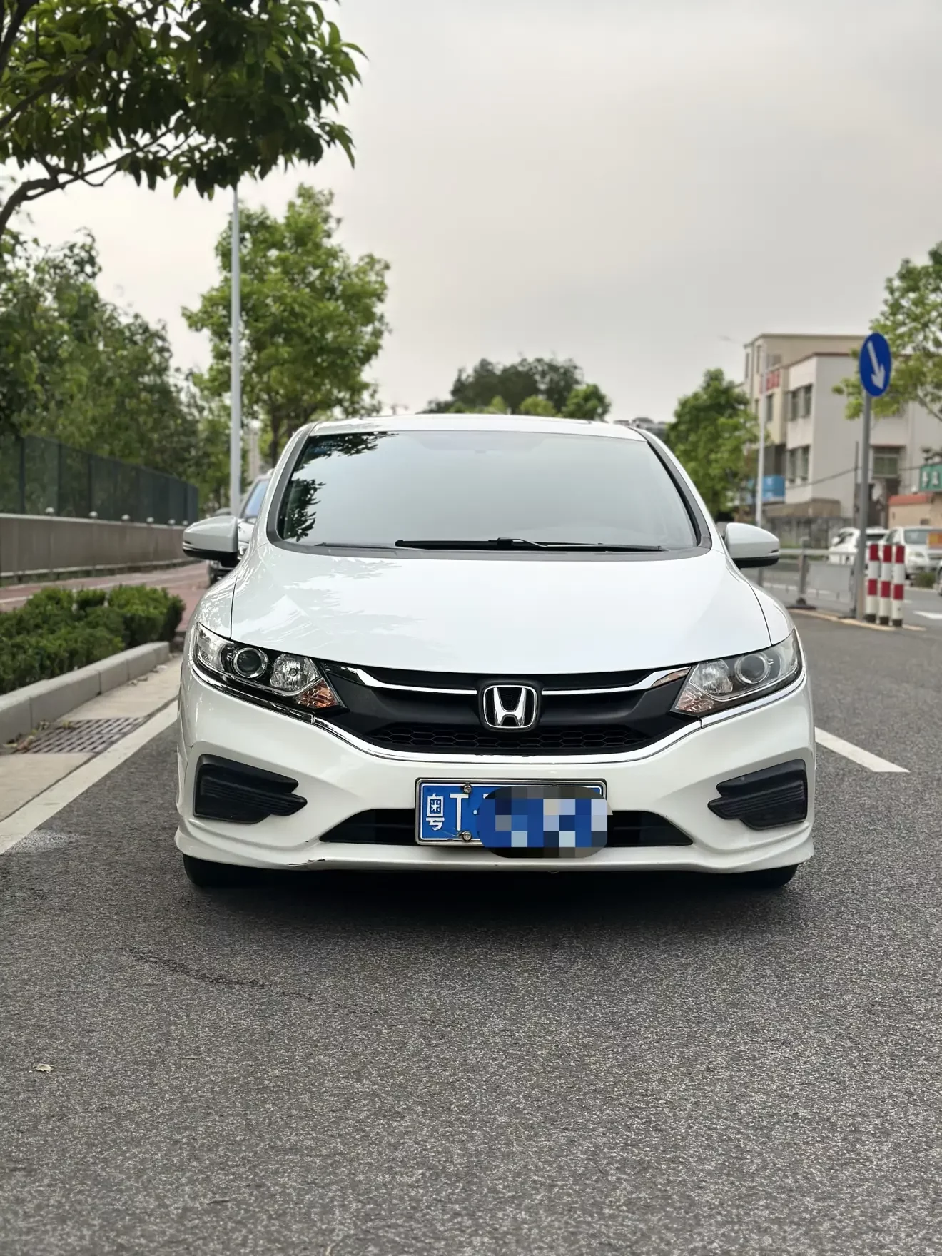 Honda Jed