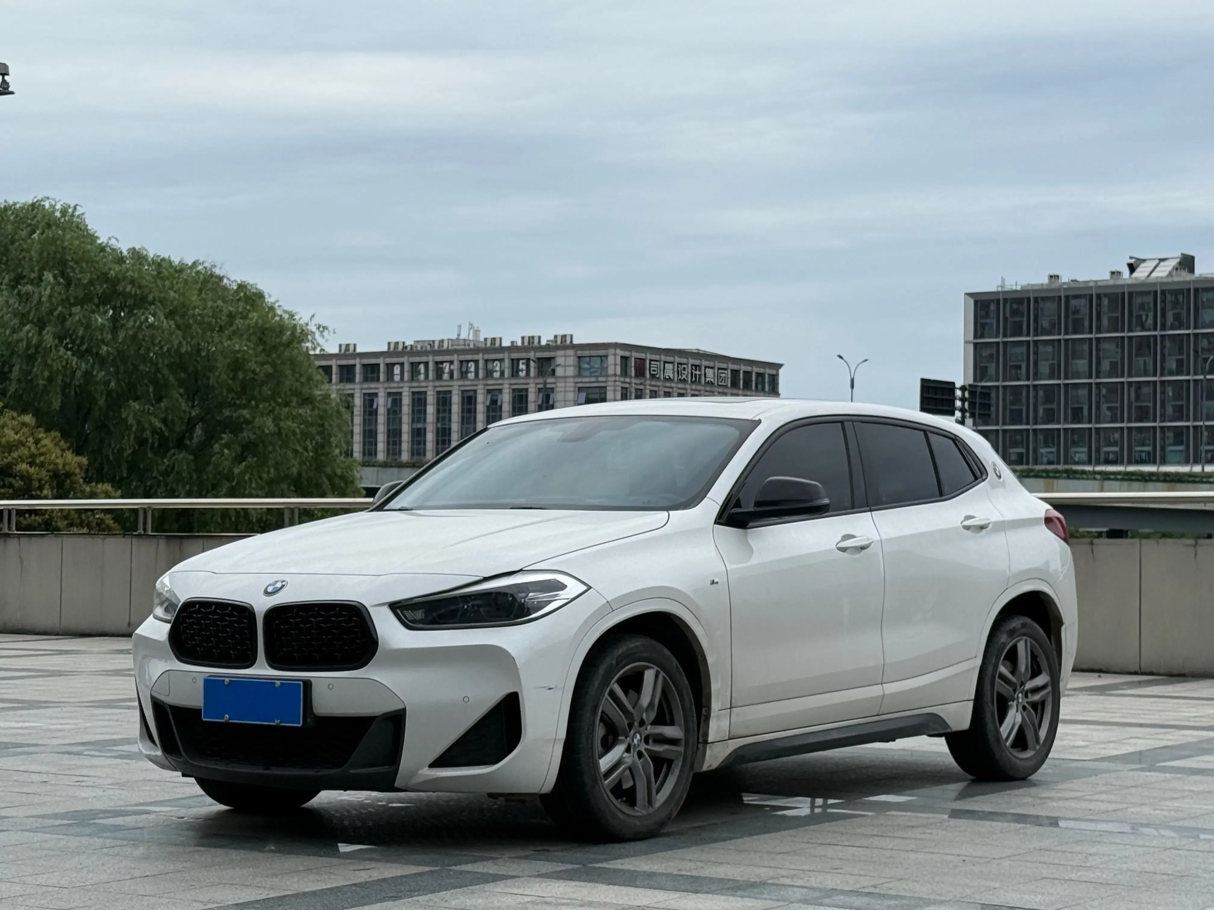 BMW X2