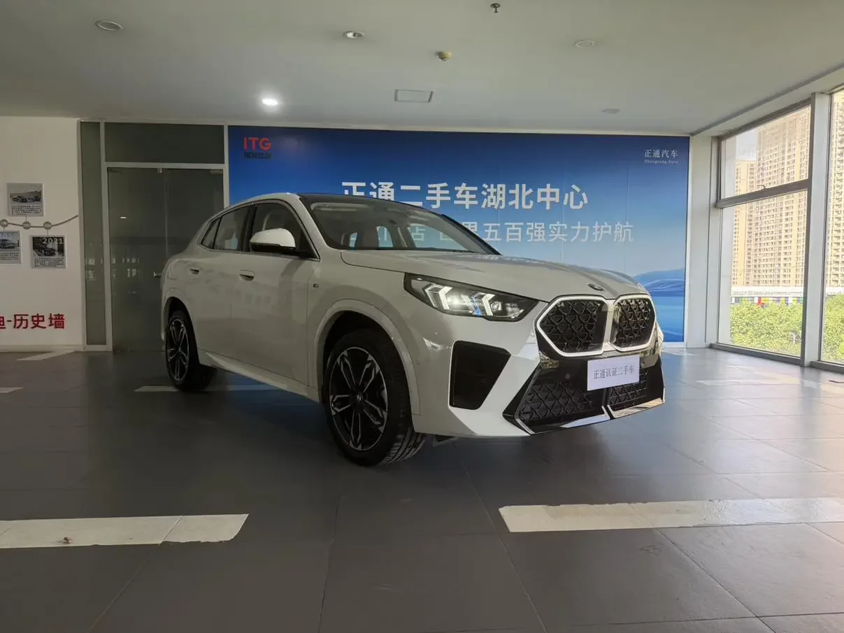 BMW X2