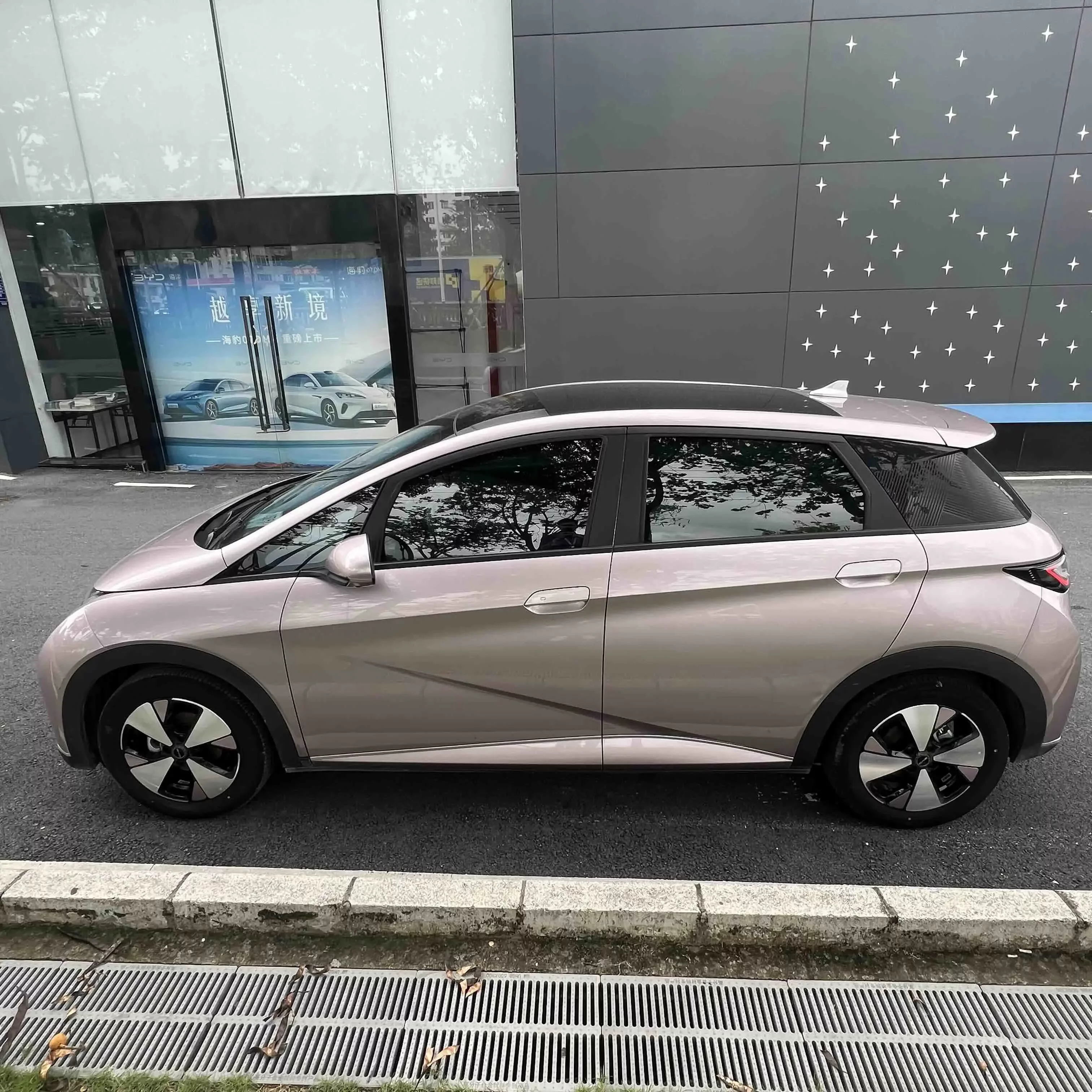 BYD dolphin