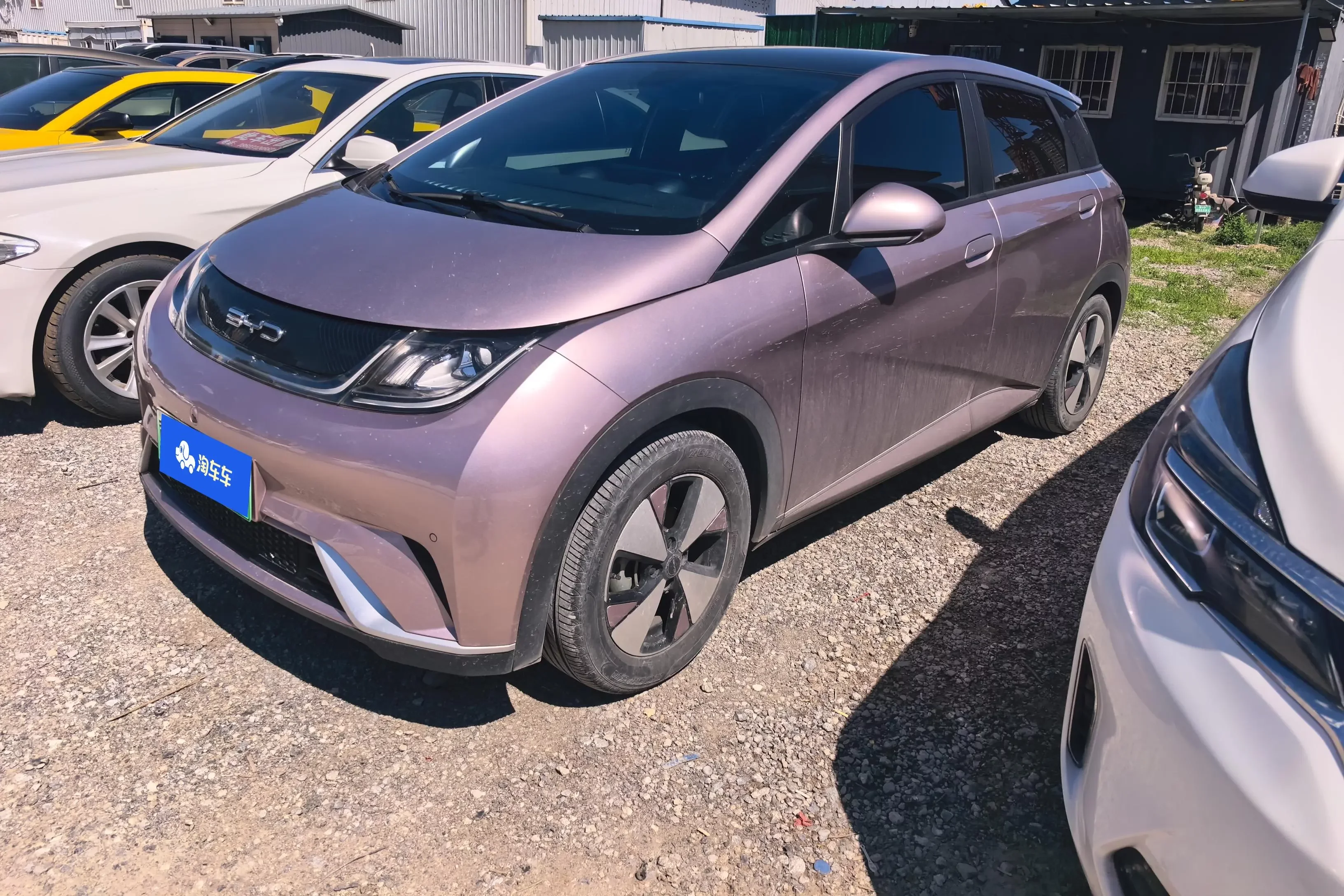 BYD dolphin