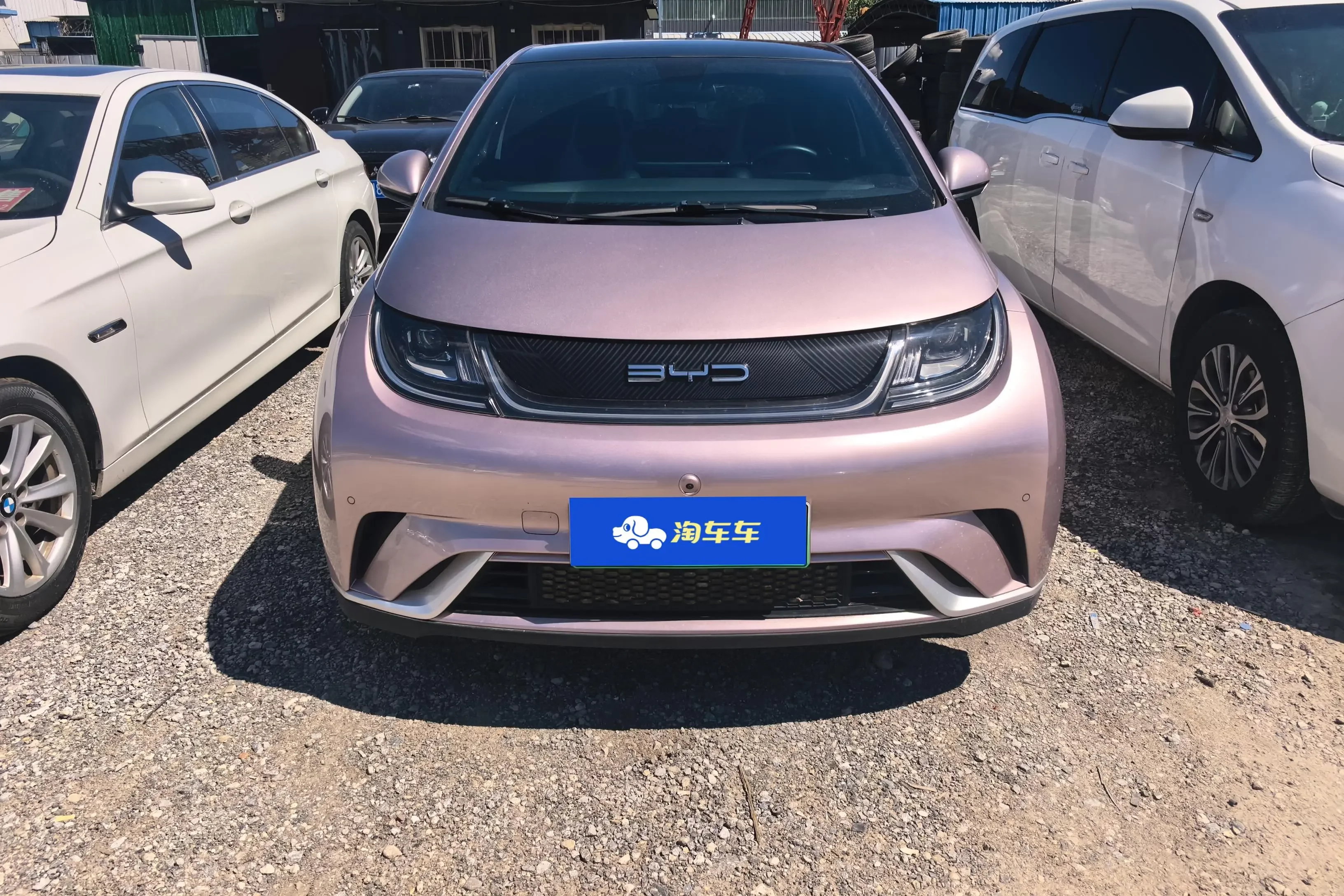 BYD dolphin
