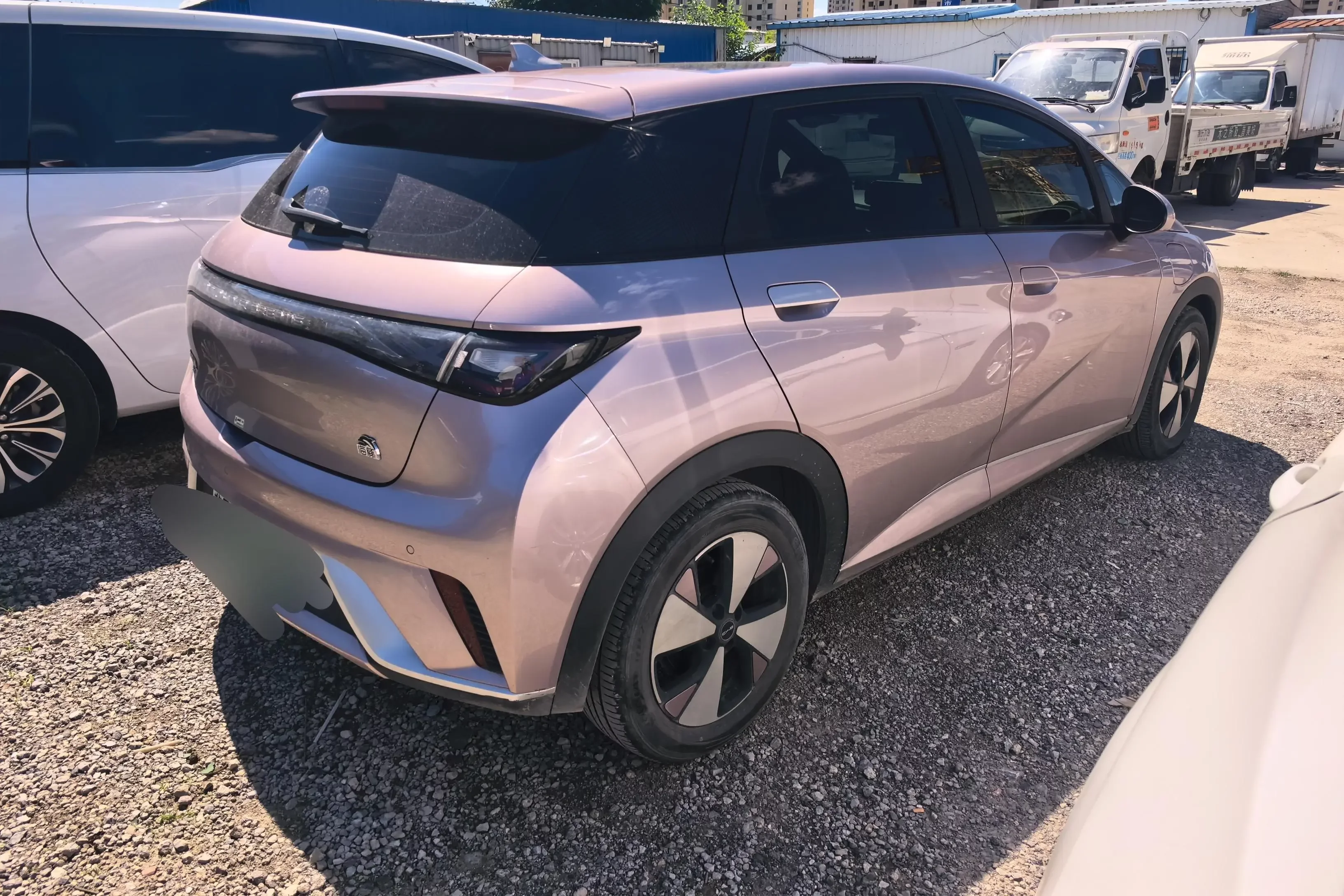BYD dolphin