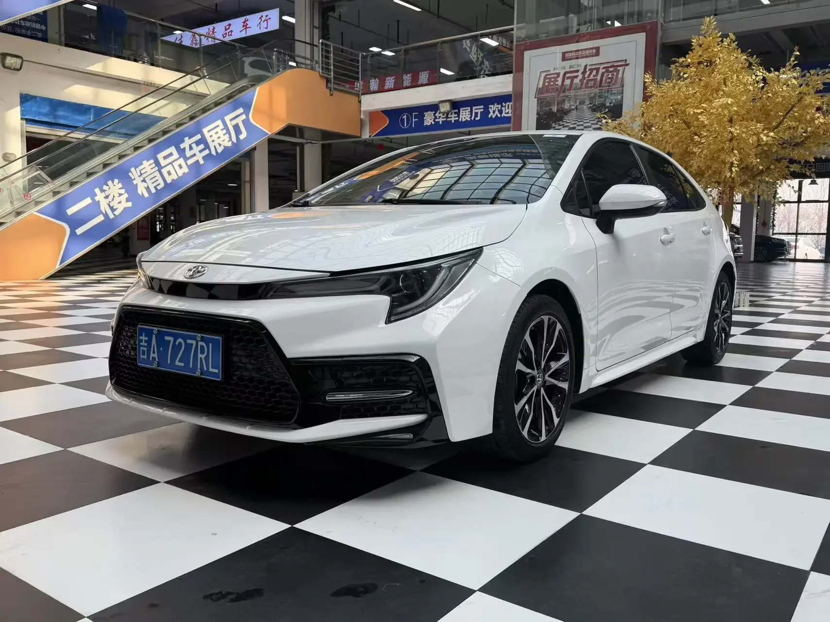 Toyota Levin