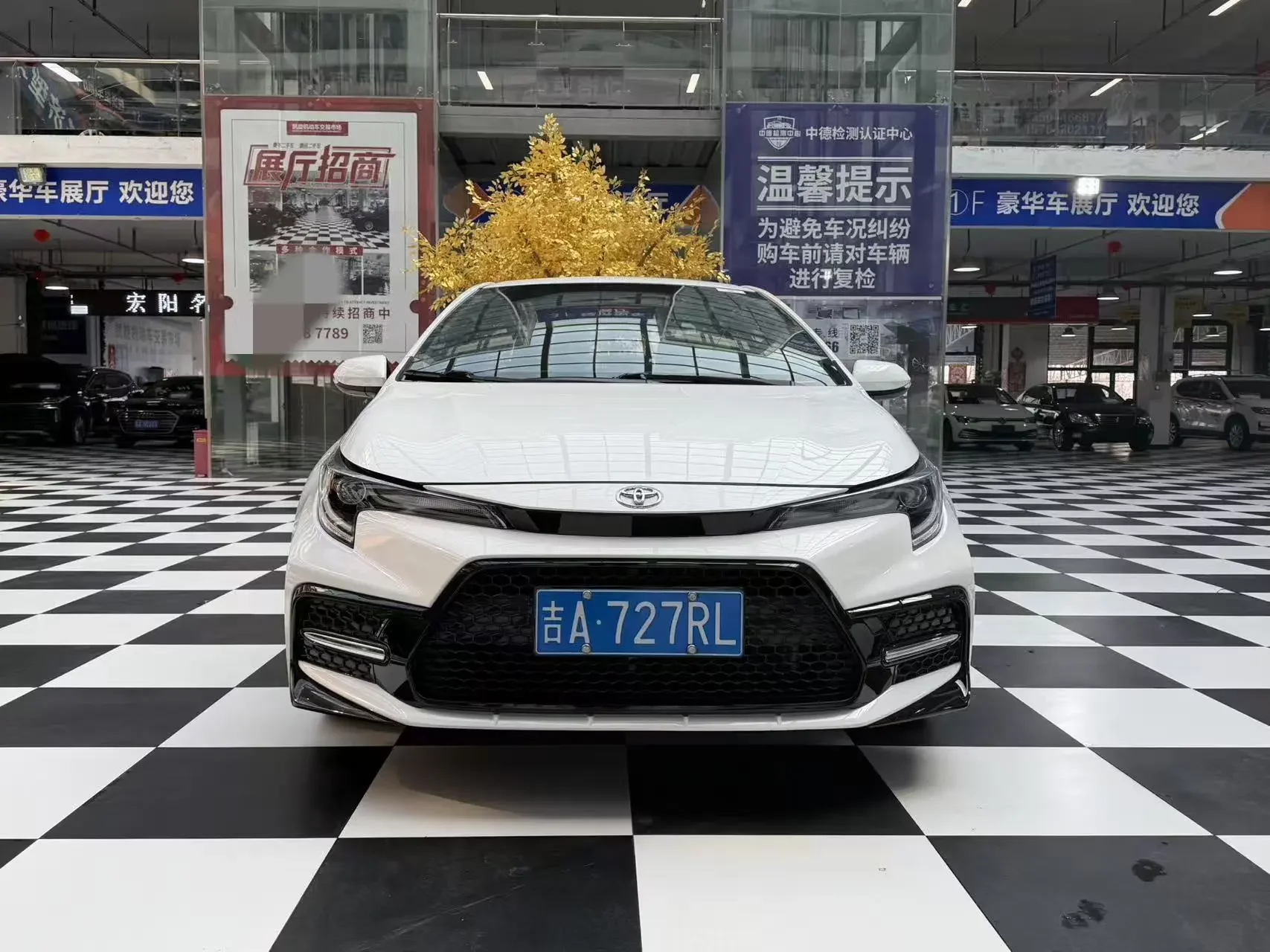 Toyota Levin