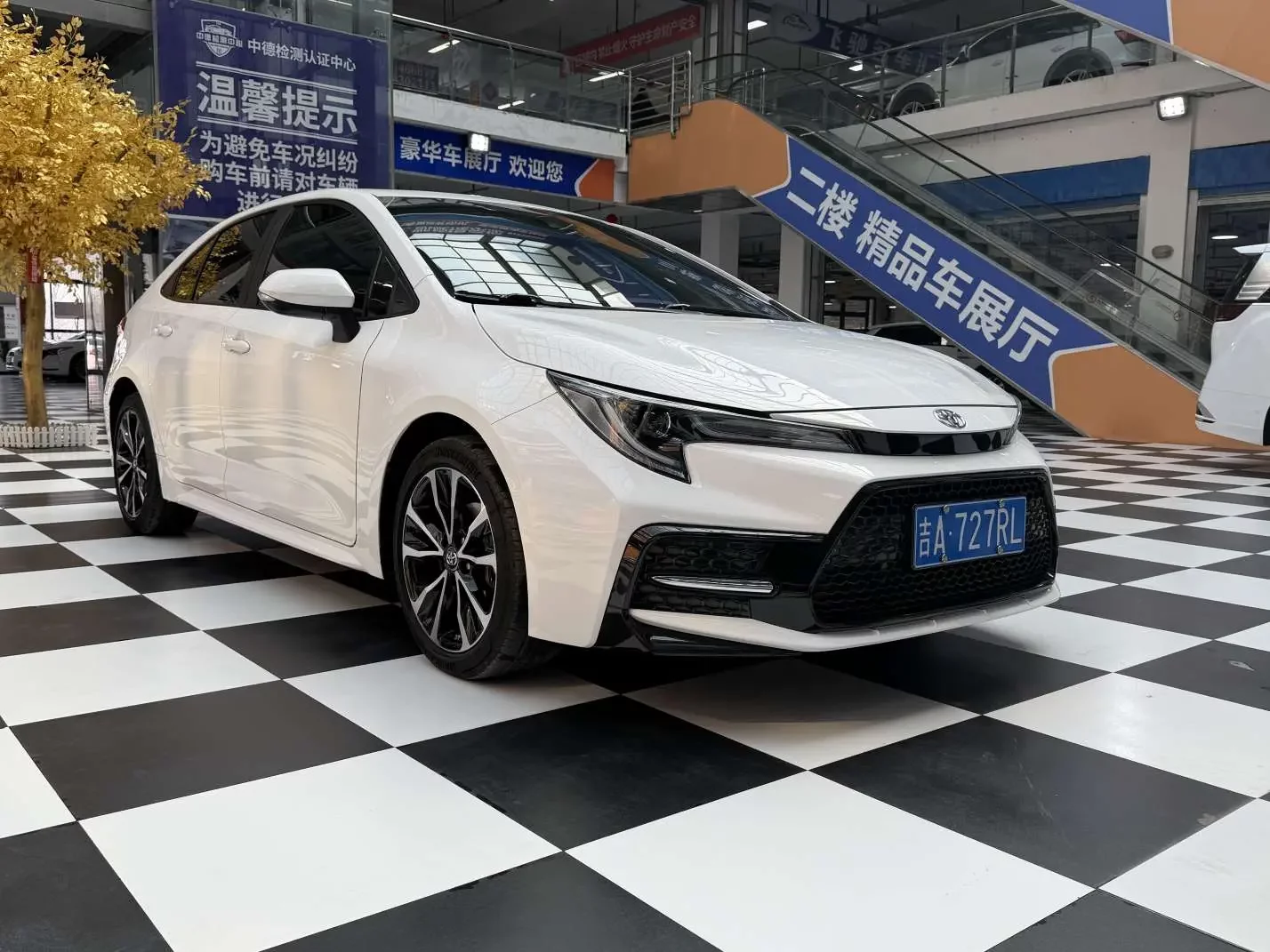 Toyota Levin
