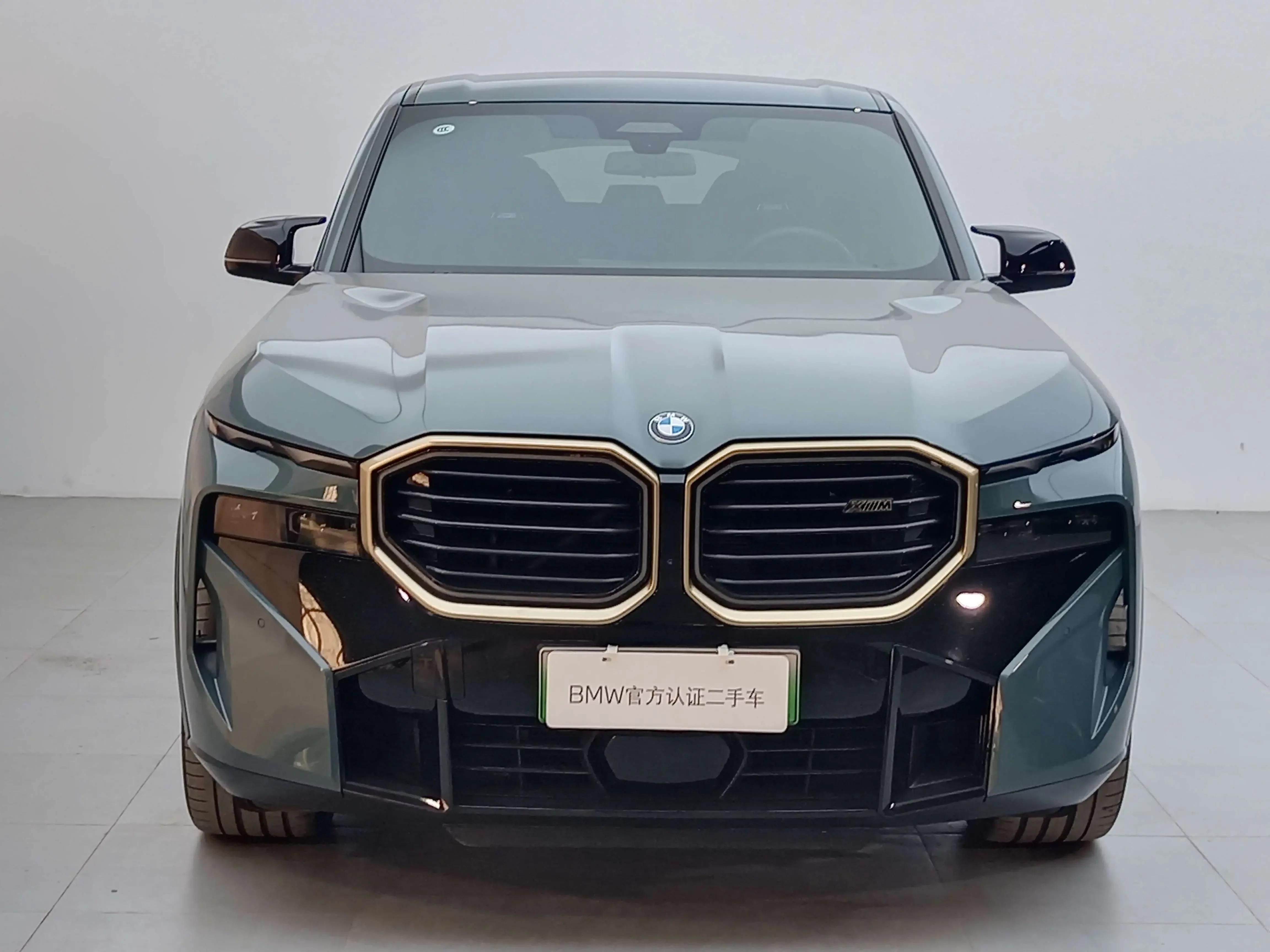 BMW XM