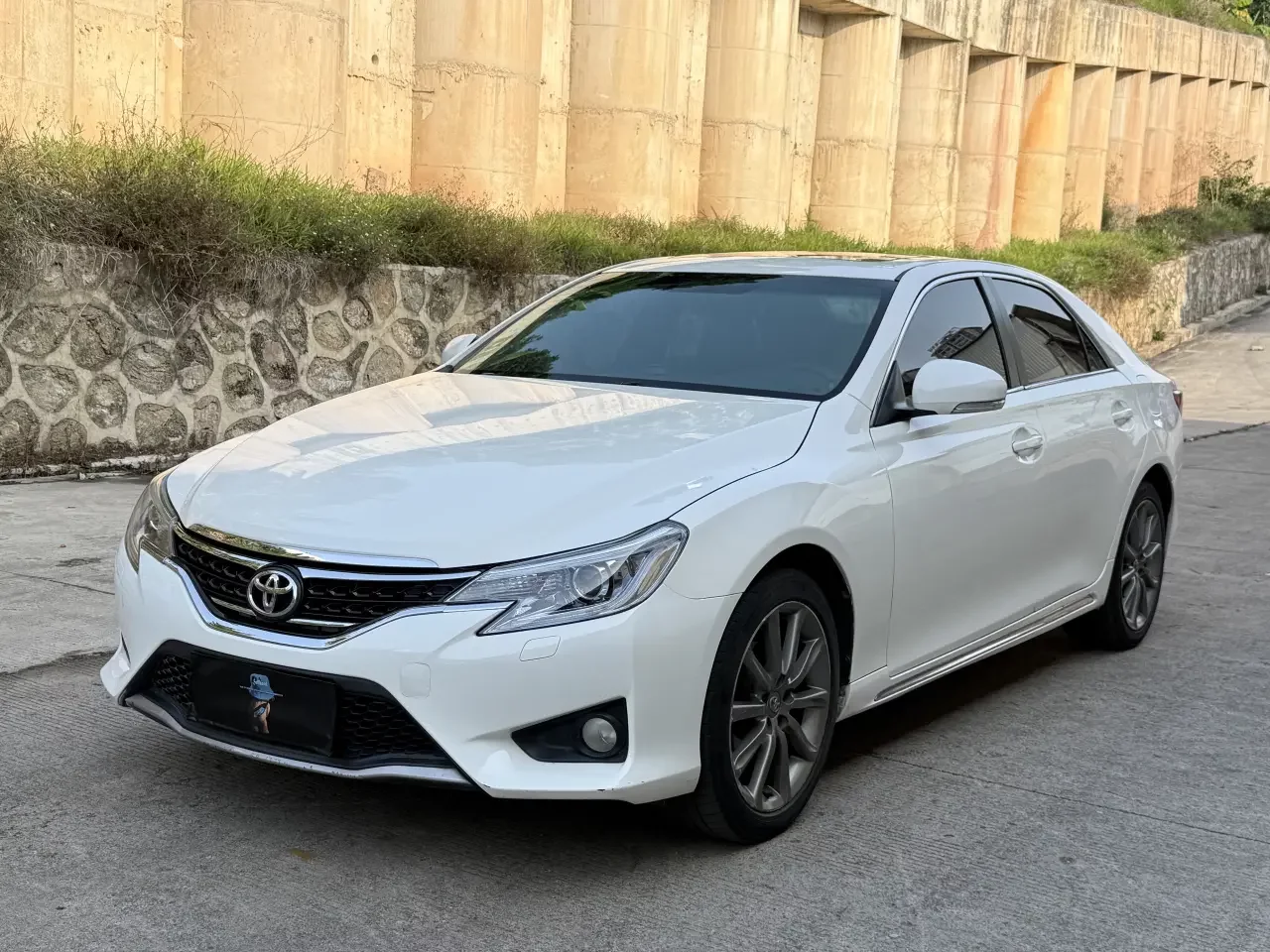 Toyota Ruizhi