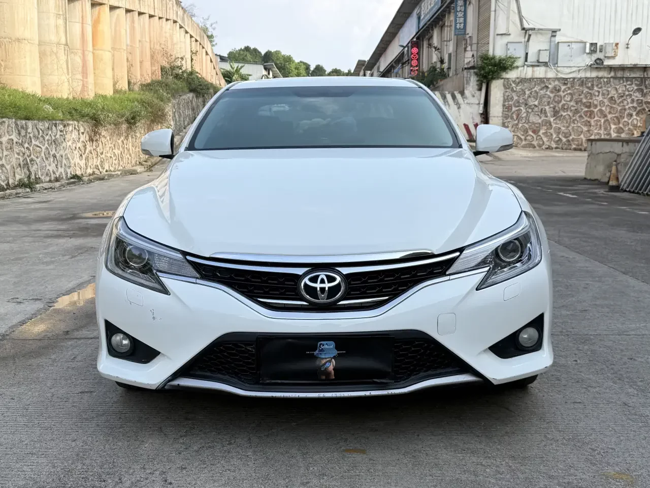 Toyota Ruizhi