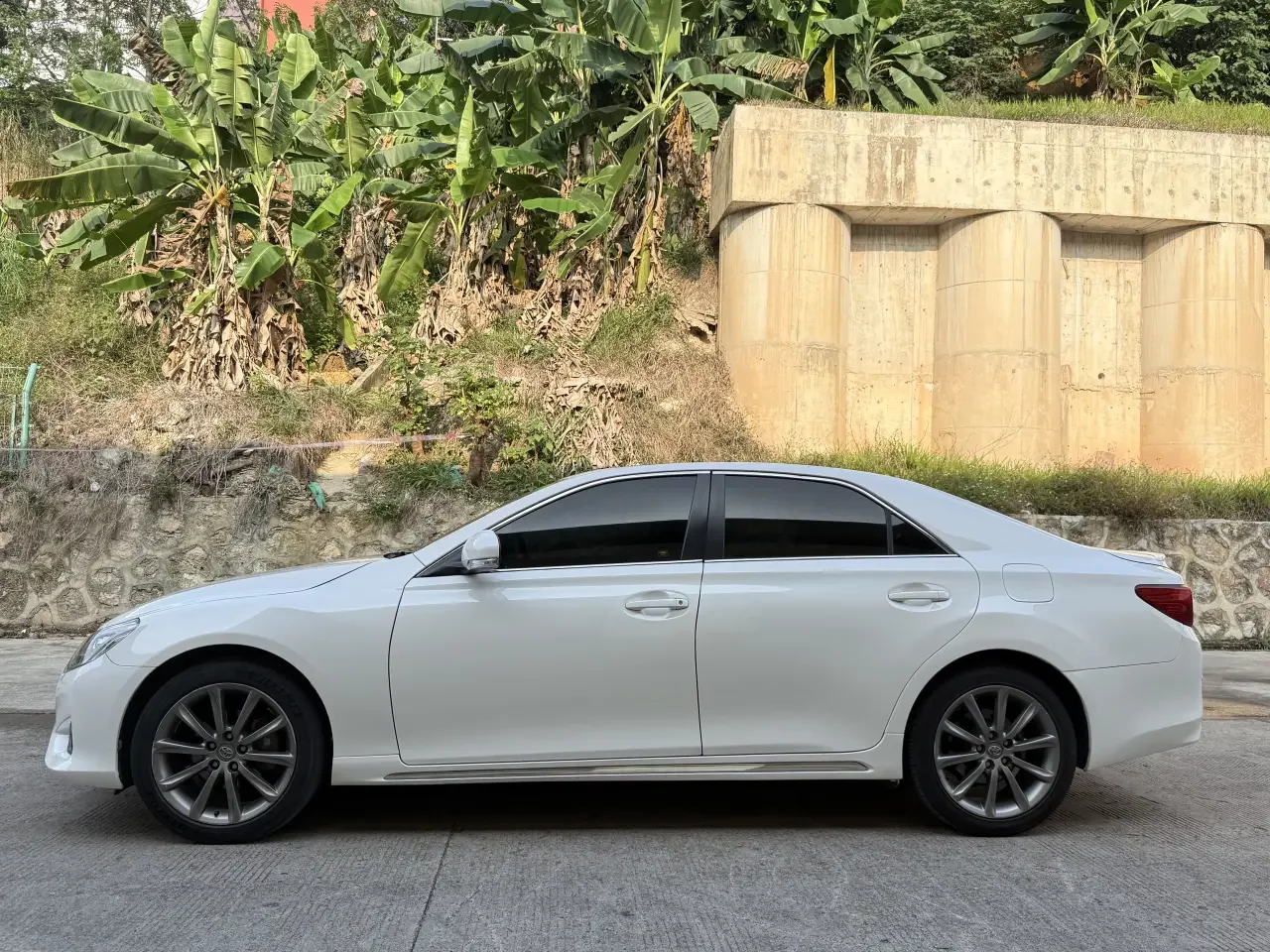 Toyota Ruizhi