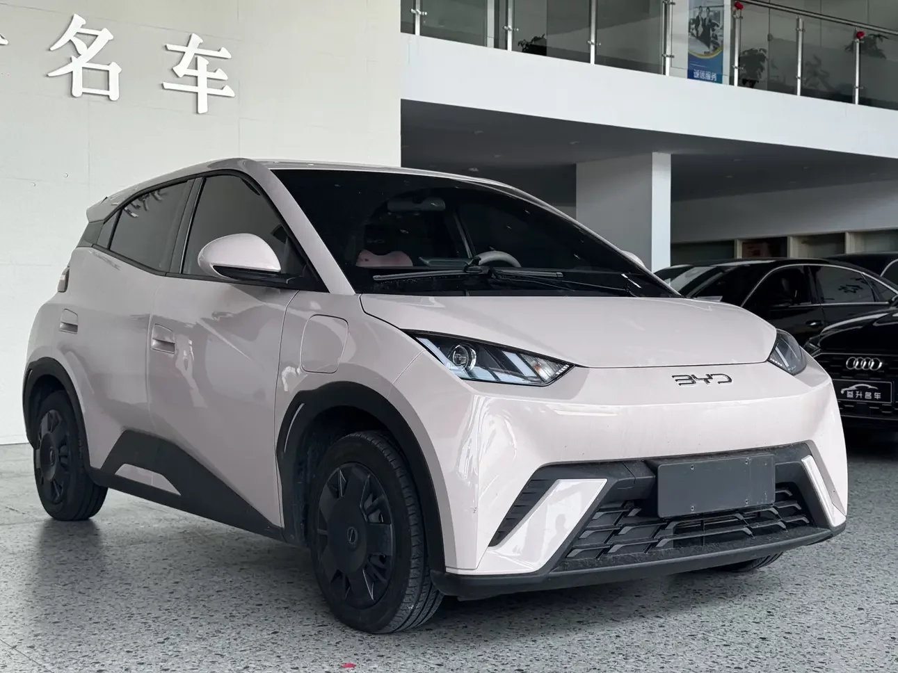 BYD seagull