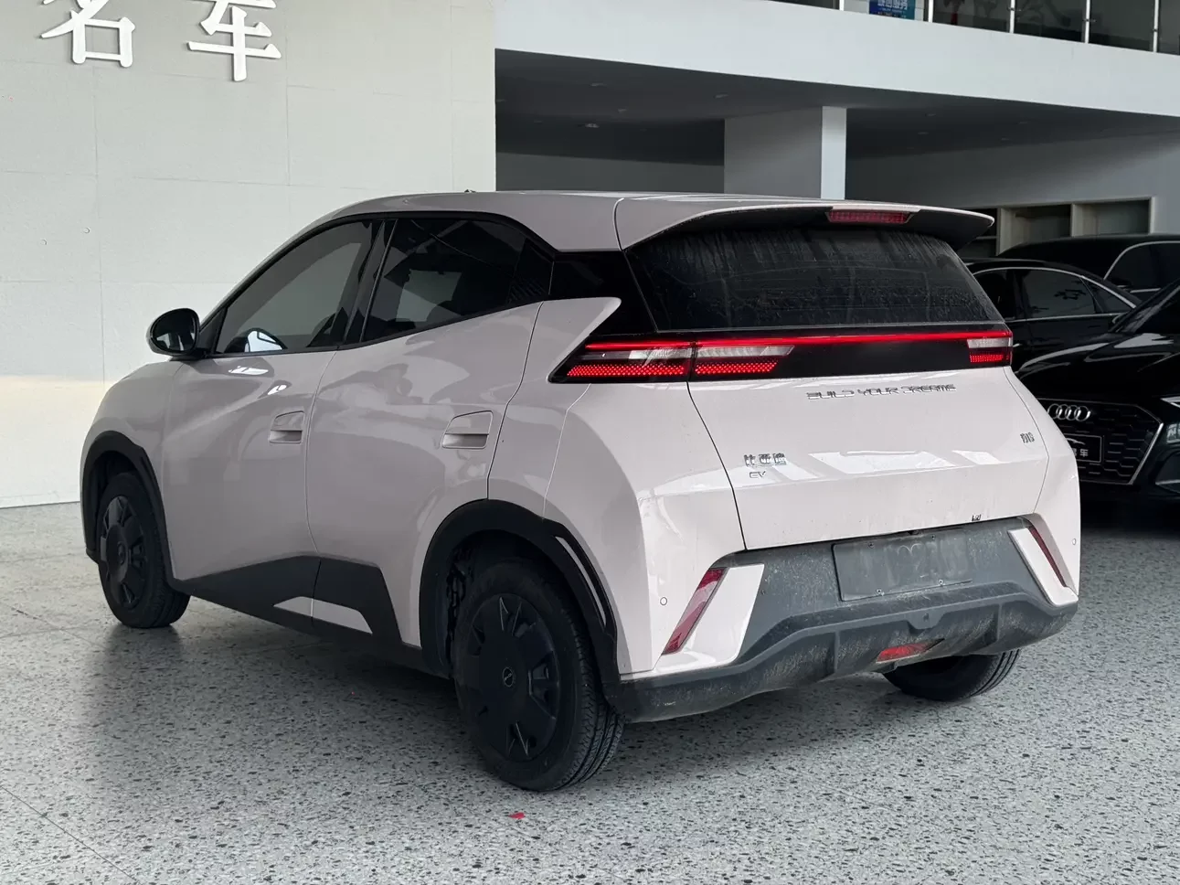 BYD seagull