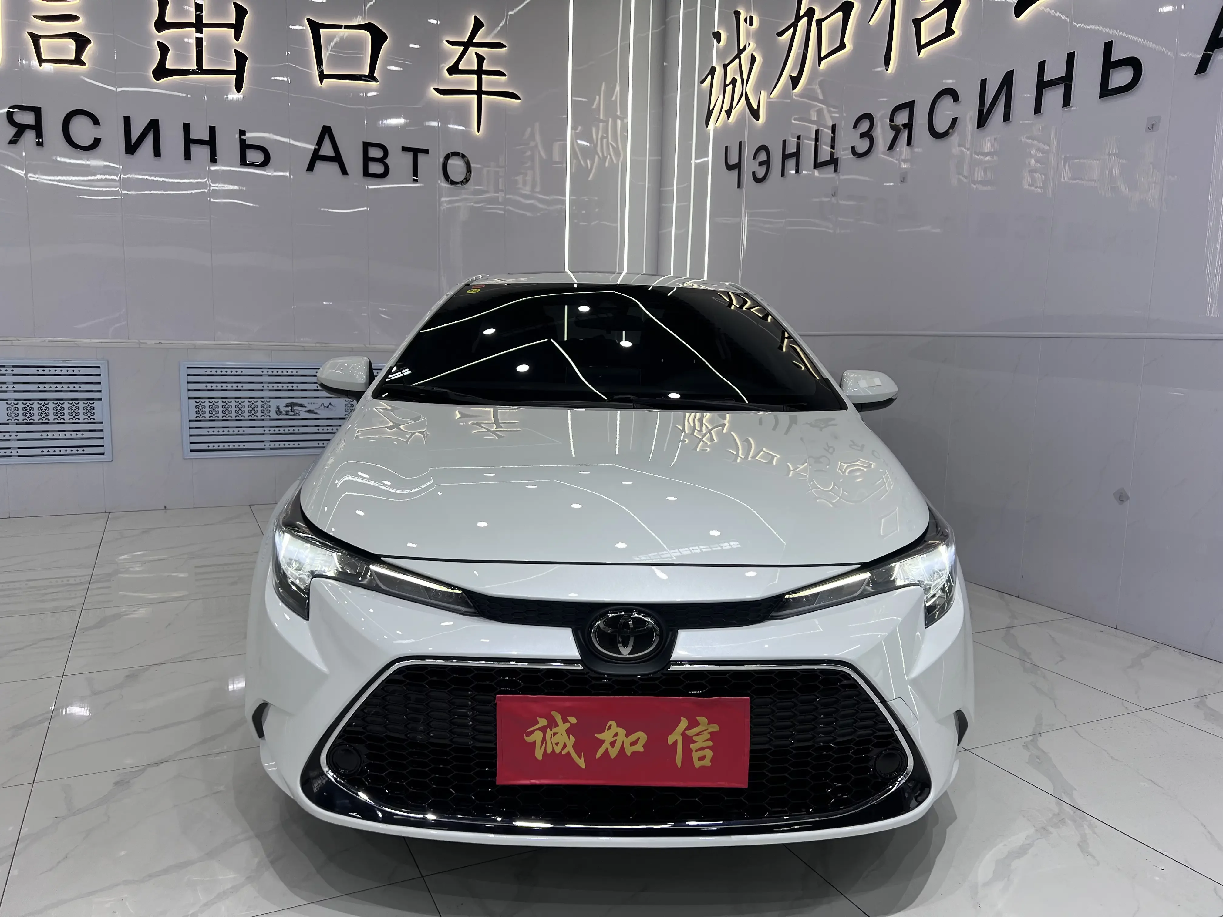 Toyota Levin
