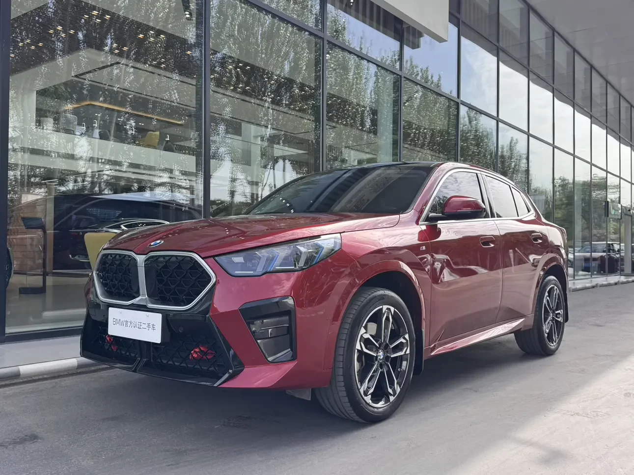 BMW X2