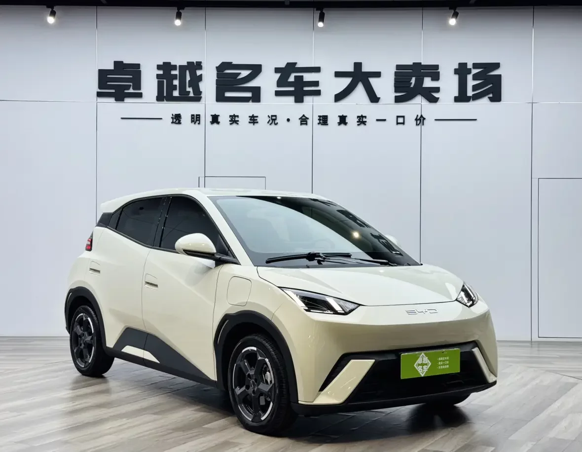 BYD seagull