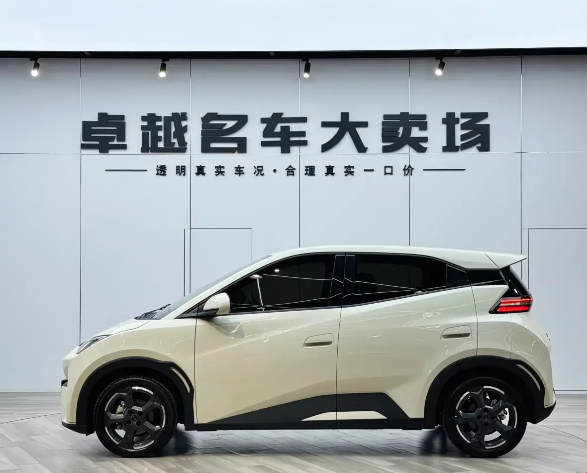 BYD seagull