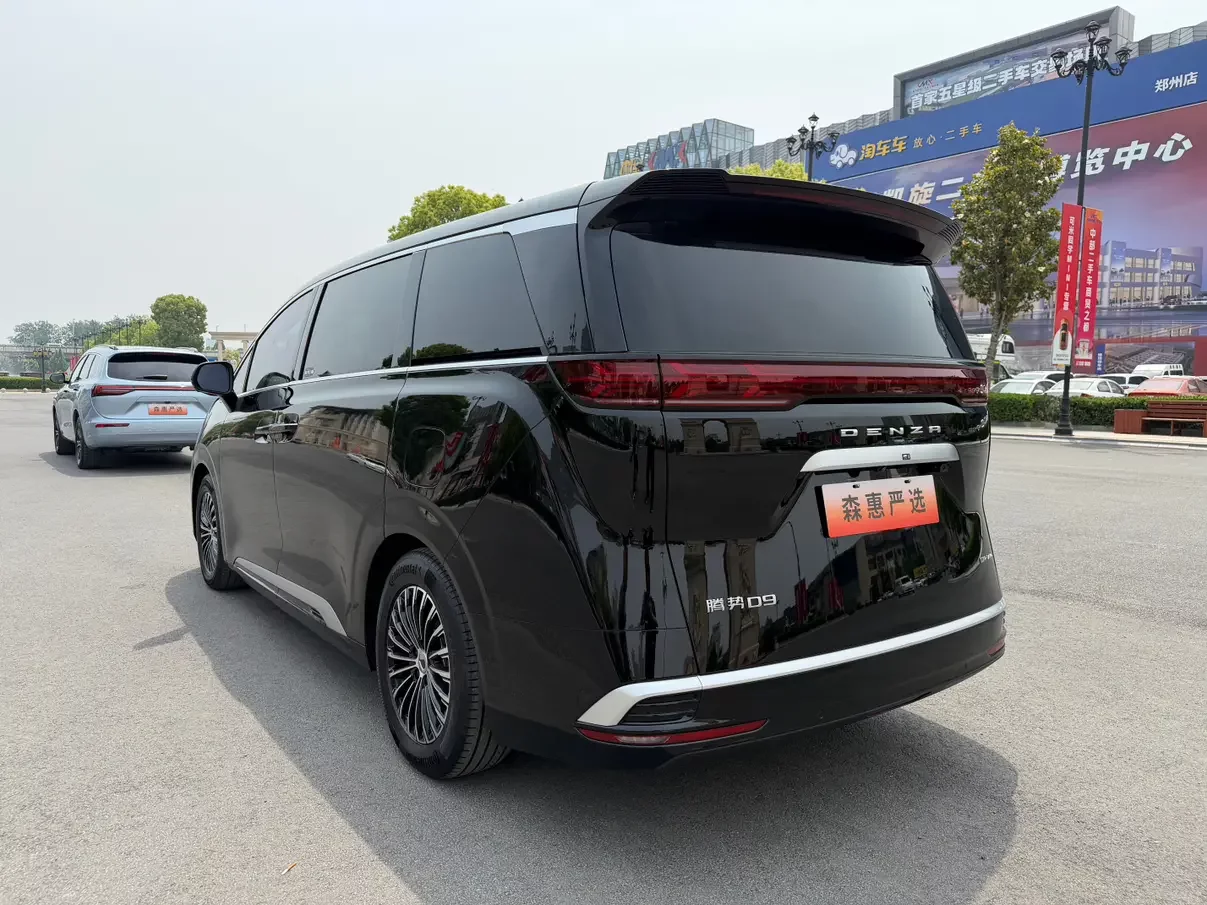 Denza D9 DM