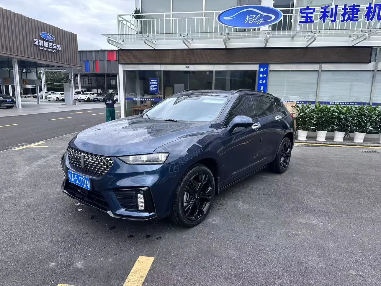Wey Wei brand VV7