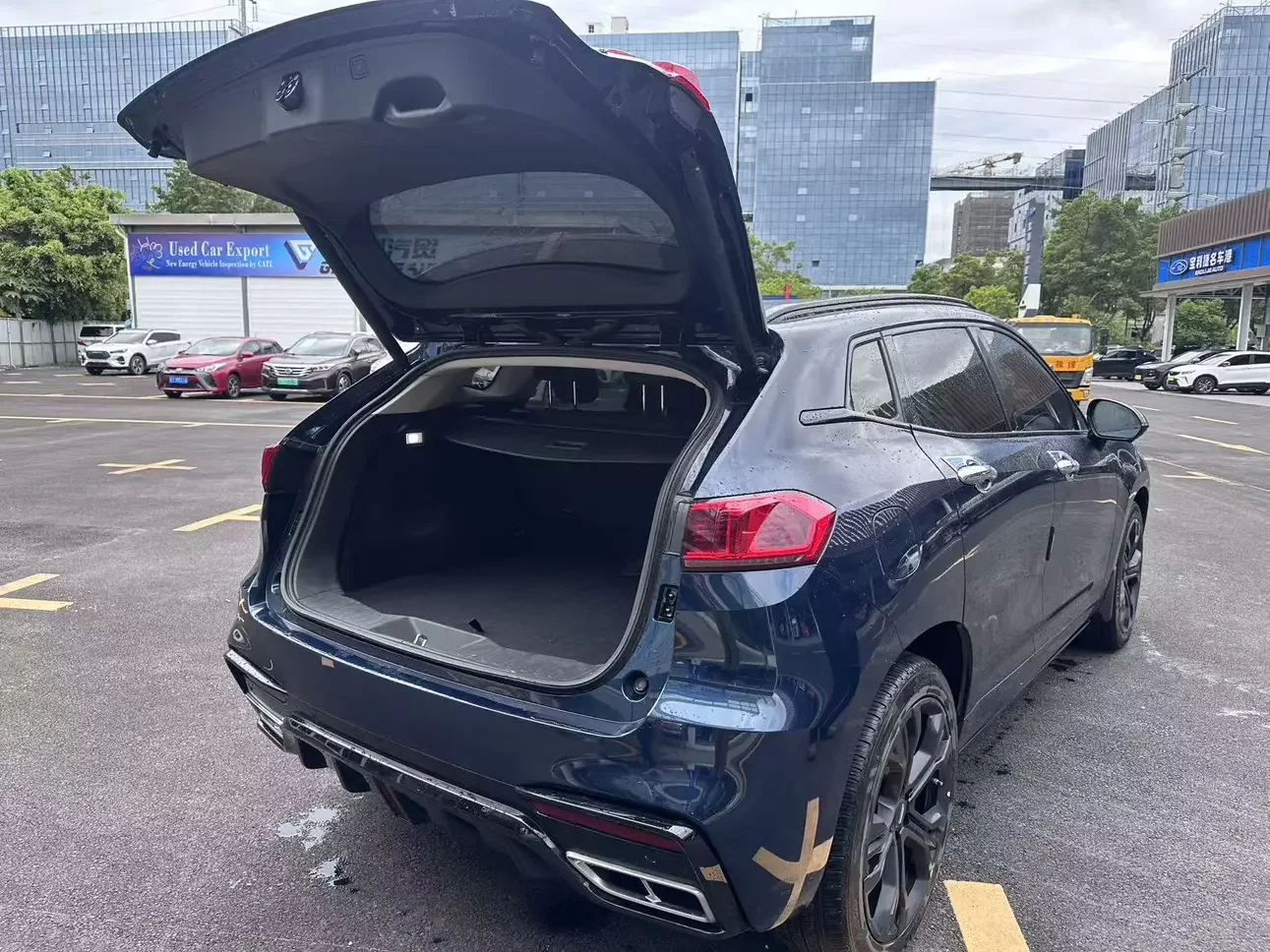 Wey Wei brand VV7