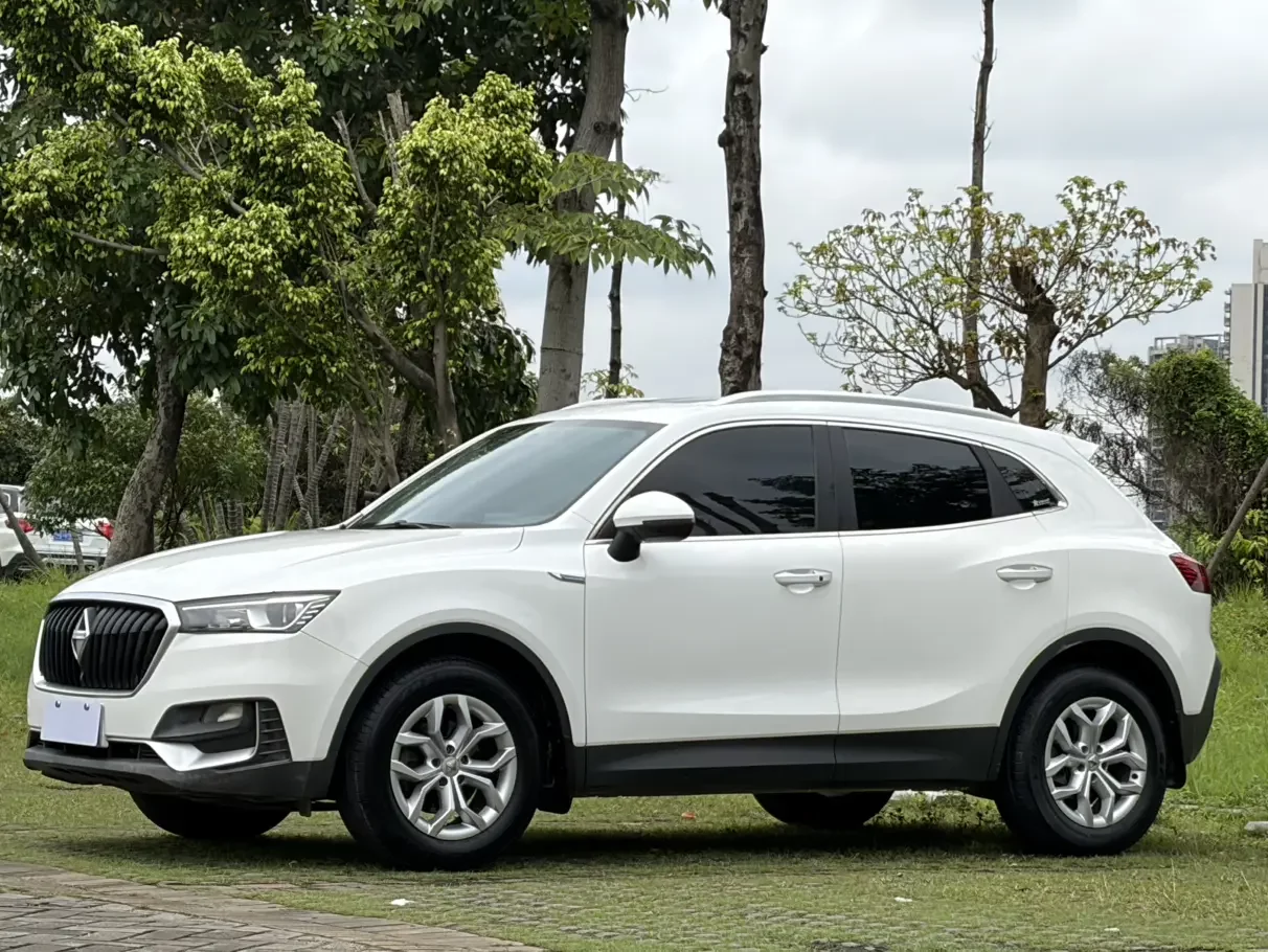 Borgward BX5
