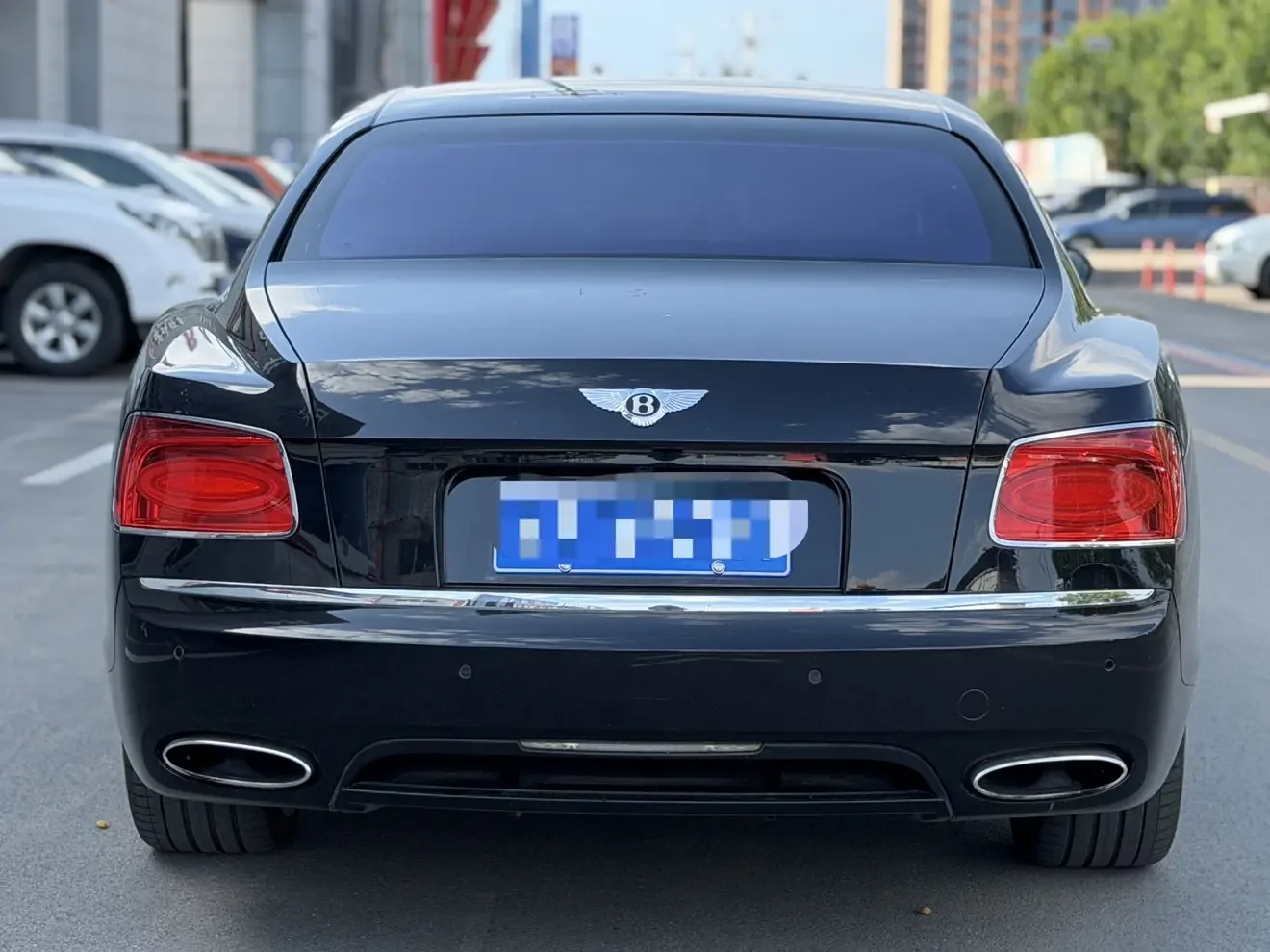 Bentley galloping