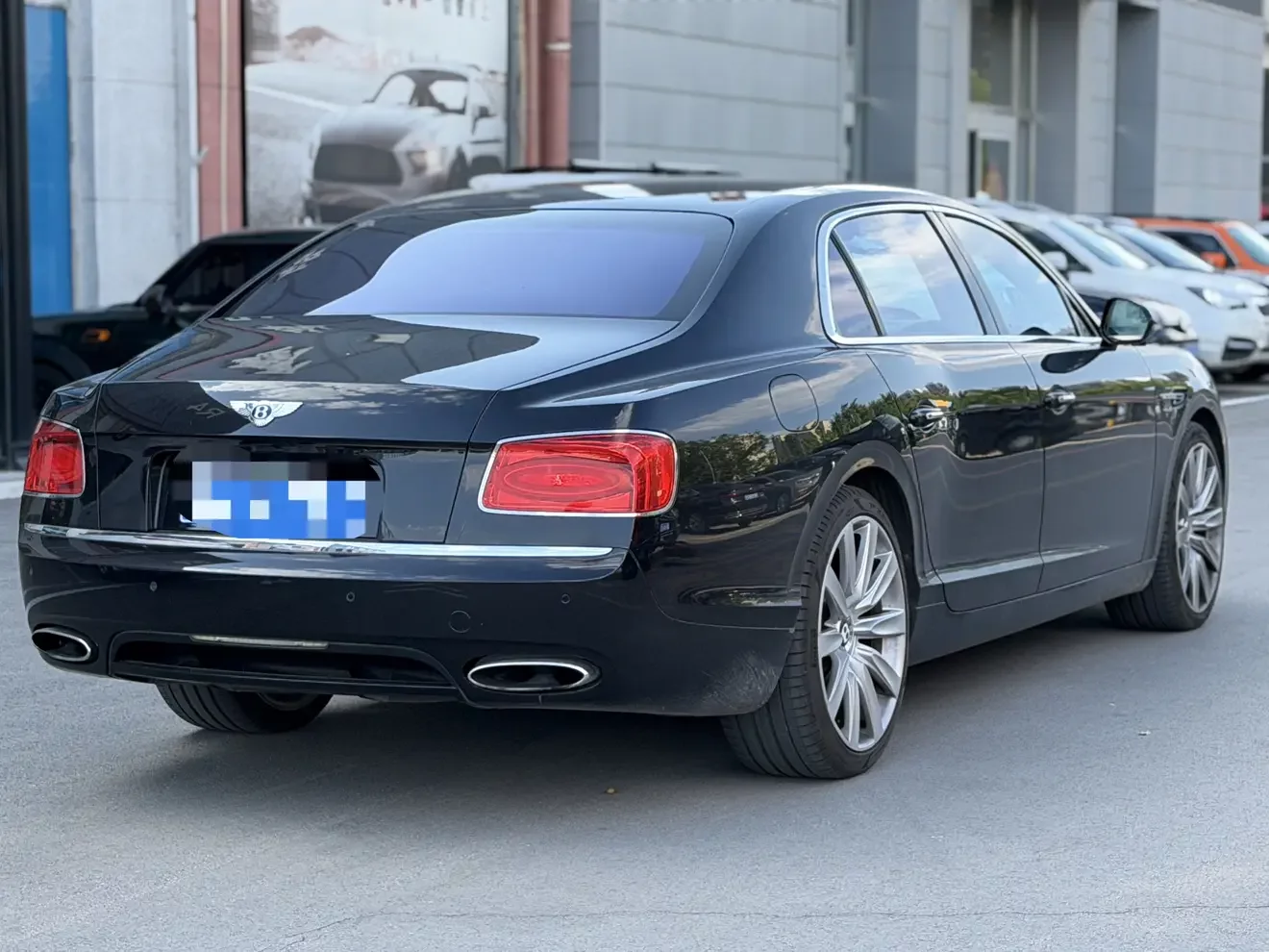 Bentley galloping
