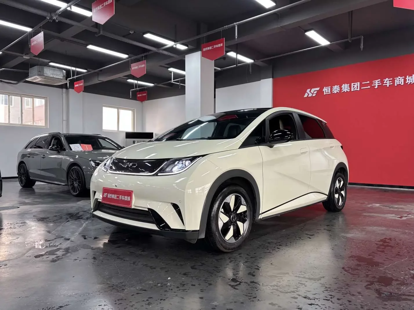 BYD dolphin