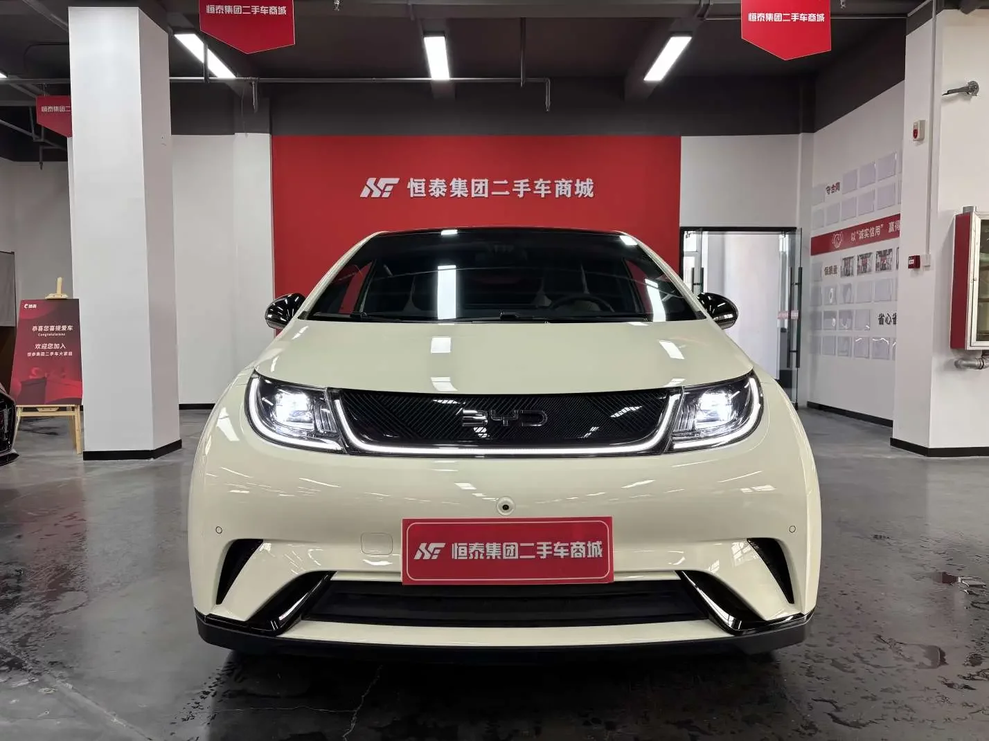 BYD dolphin