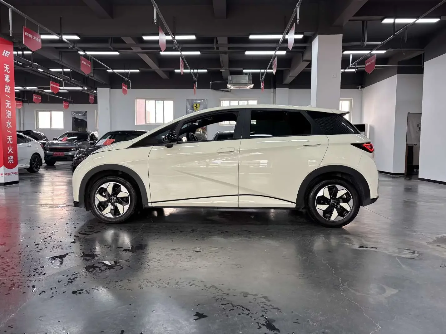 BYD dolphin