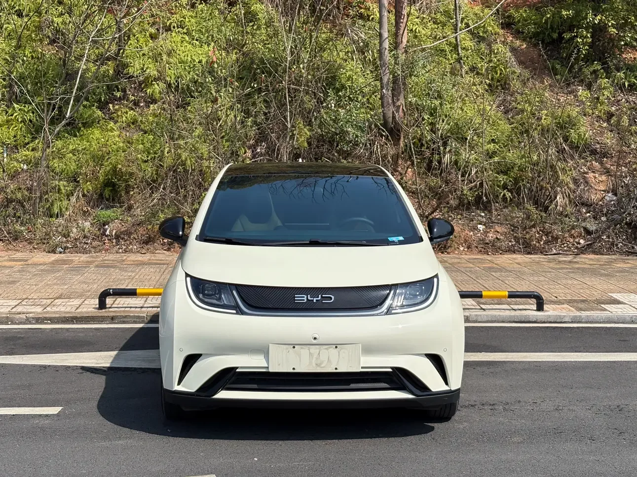 BYD dolphin