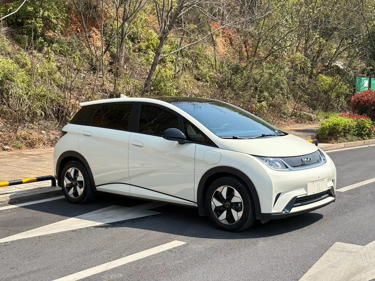 BYD dolphin