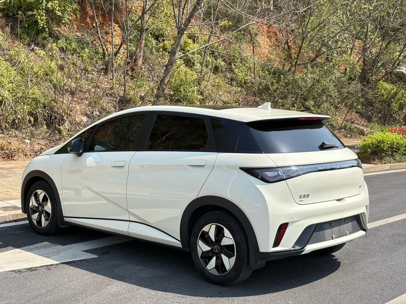 BYD dolphin