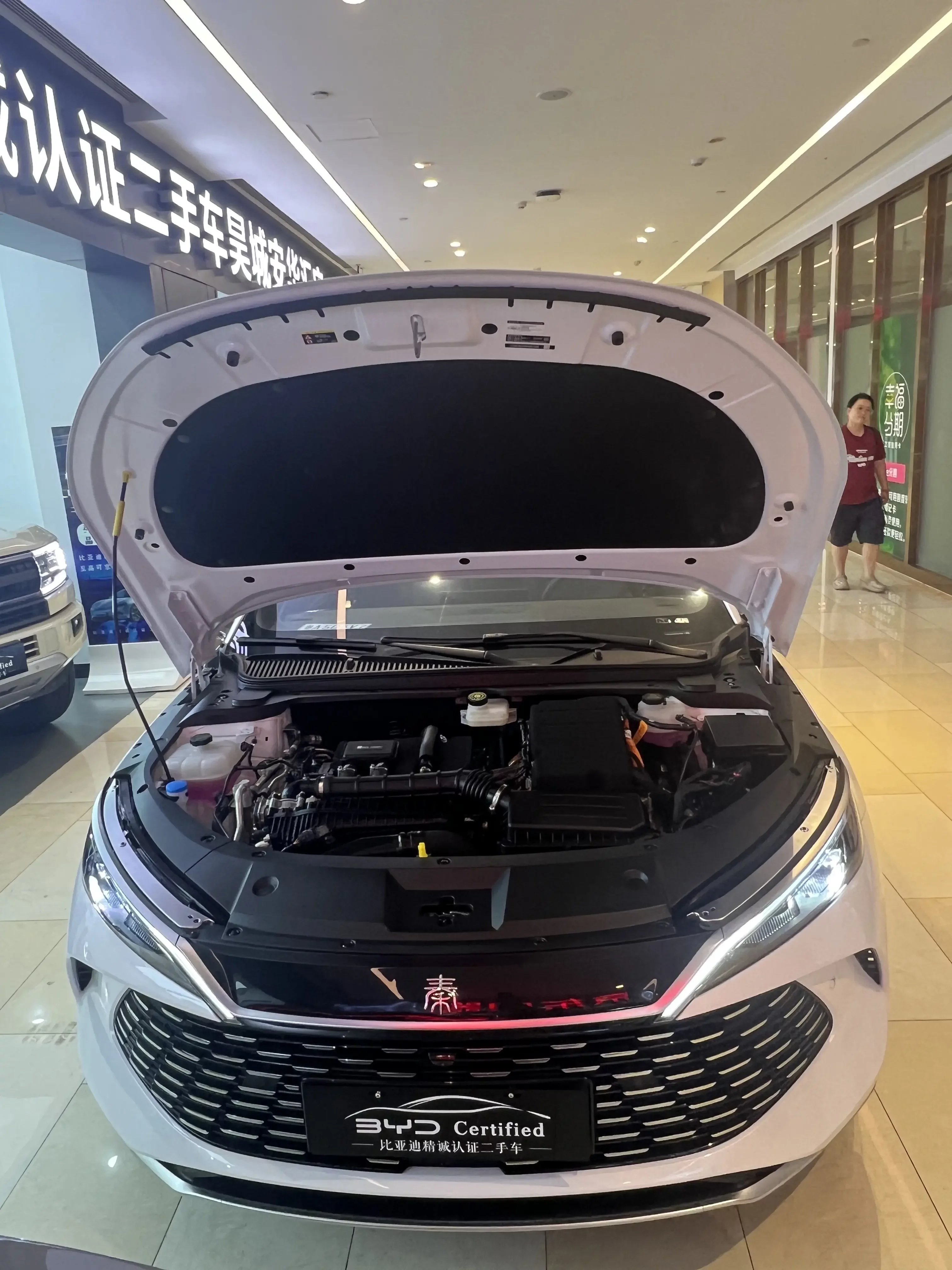 BYD Qin L DM