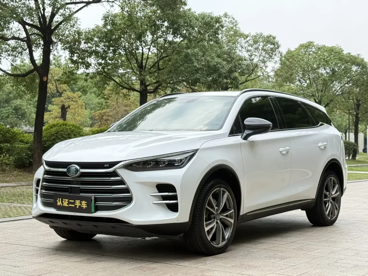 BYD Tang DM