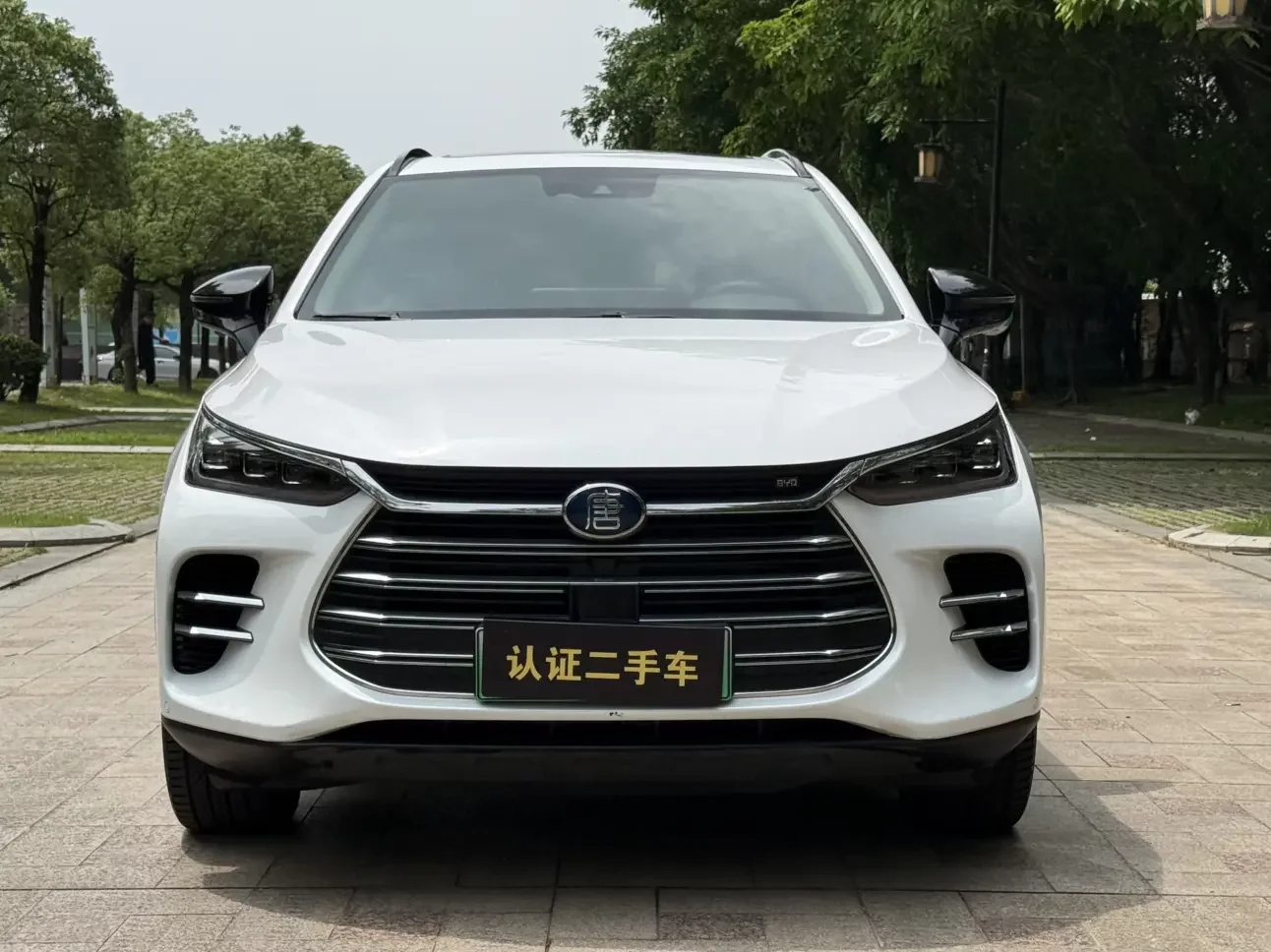 BYD Tang DM