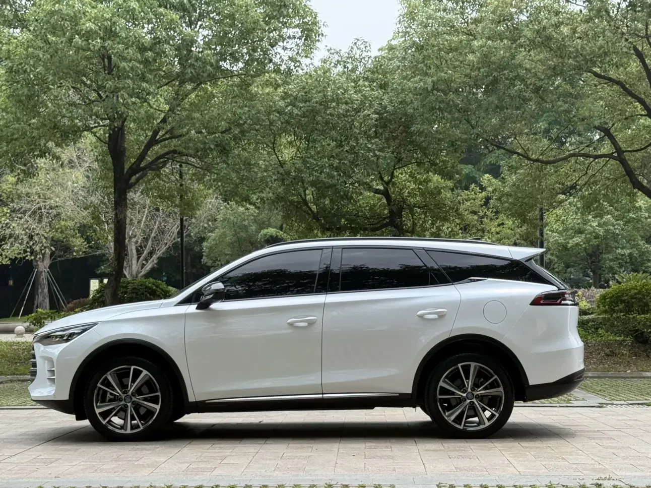 BYD Tang DM