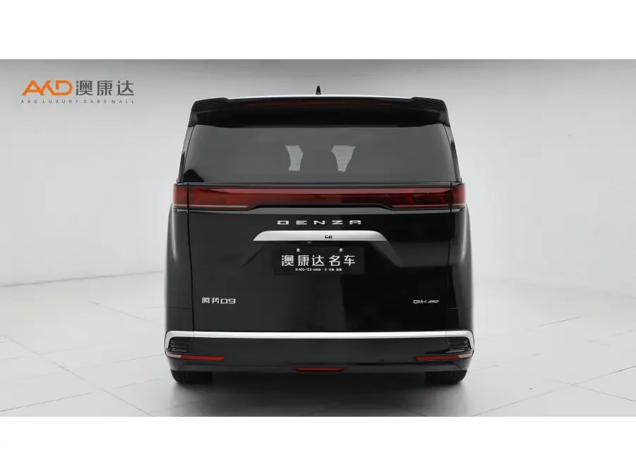 Denza D9 DM