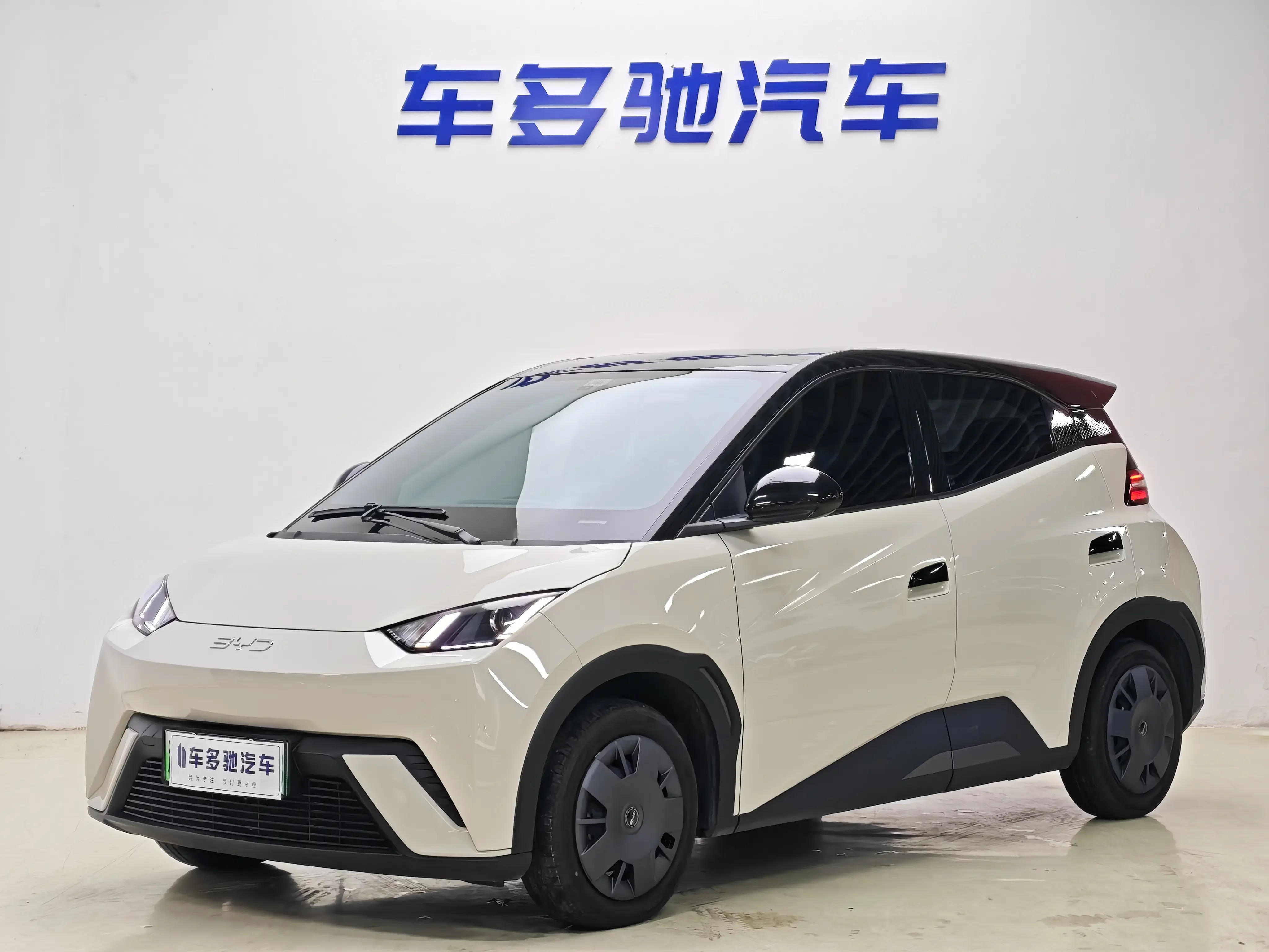 BYD seagull