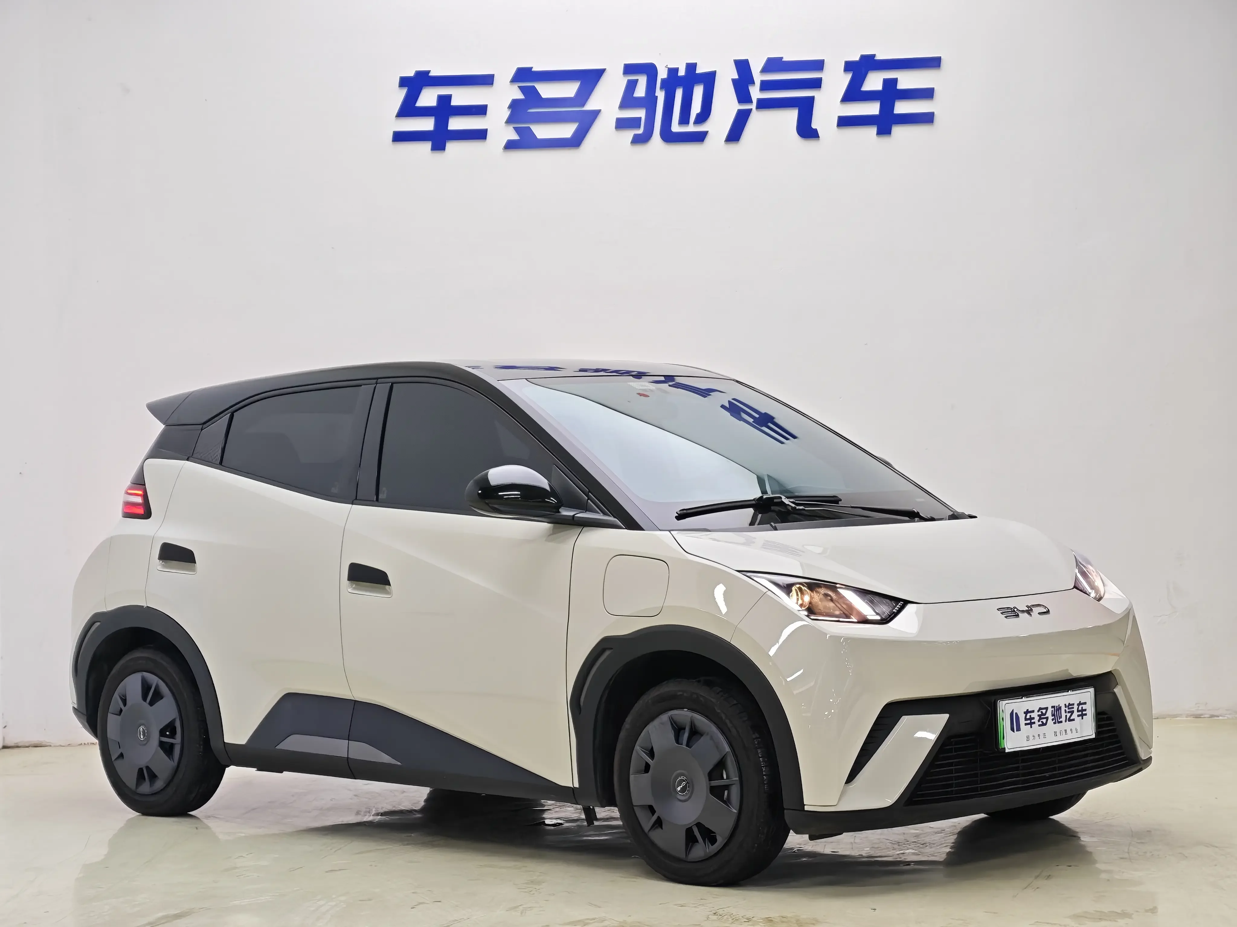 BYD seagull