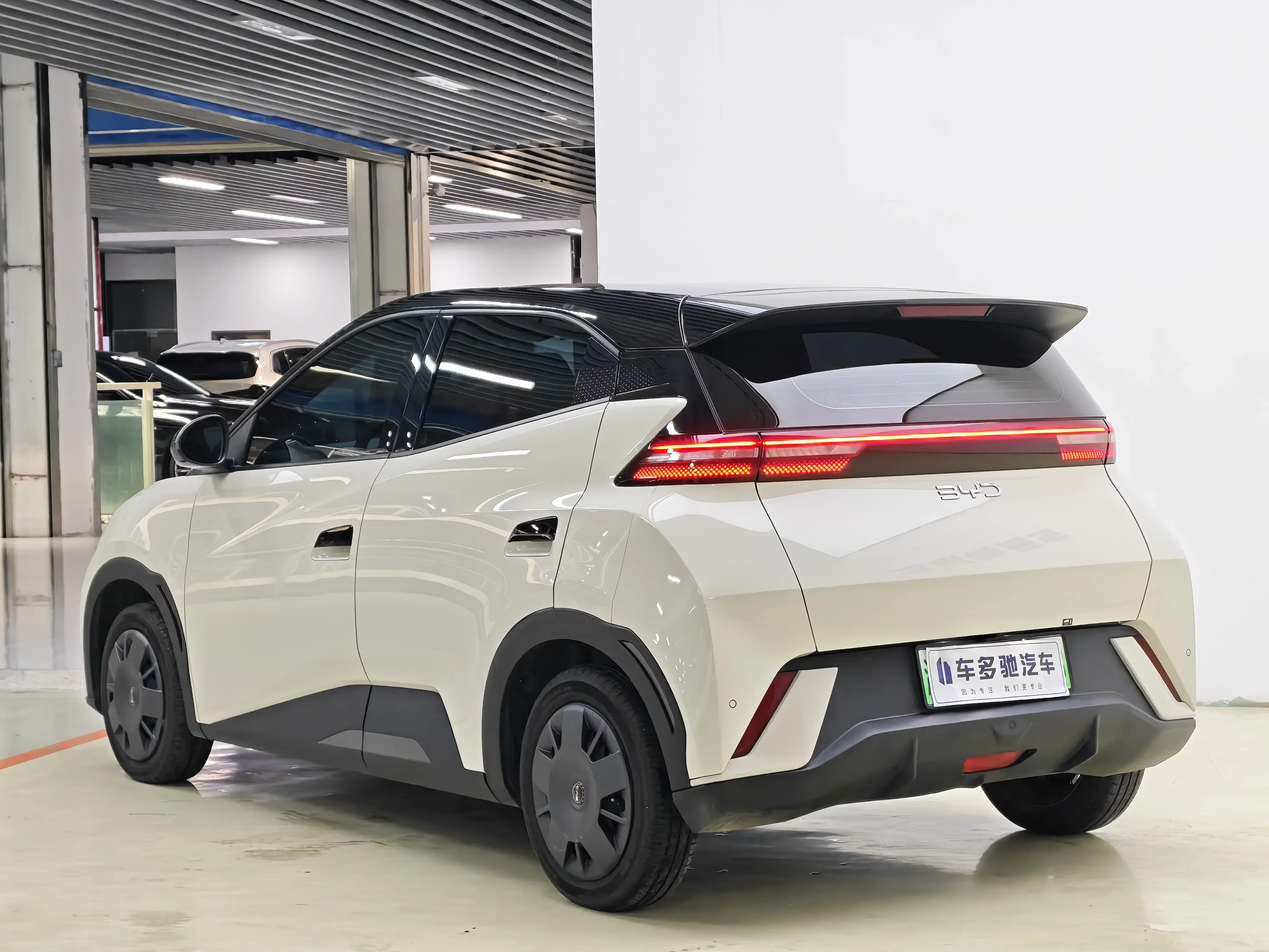 BYD seagull