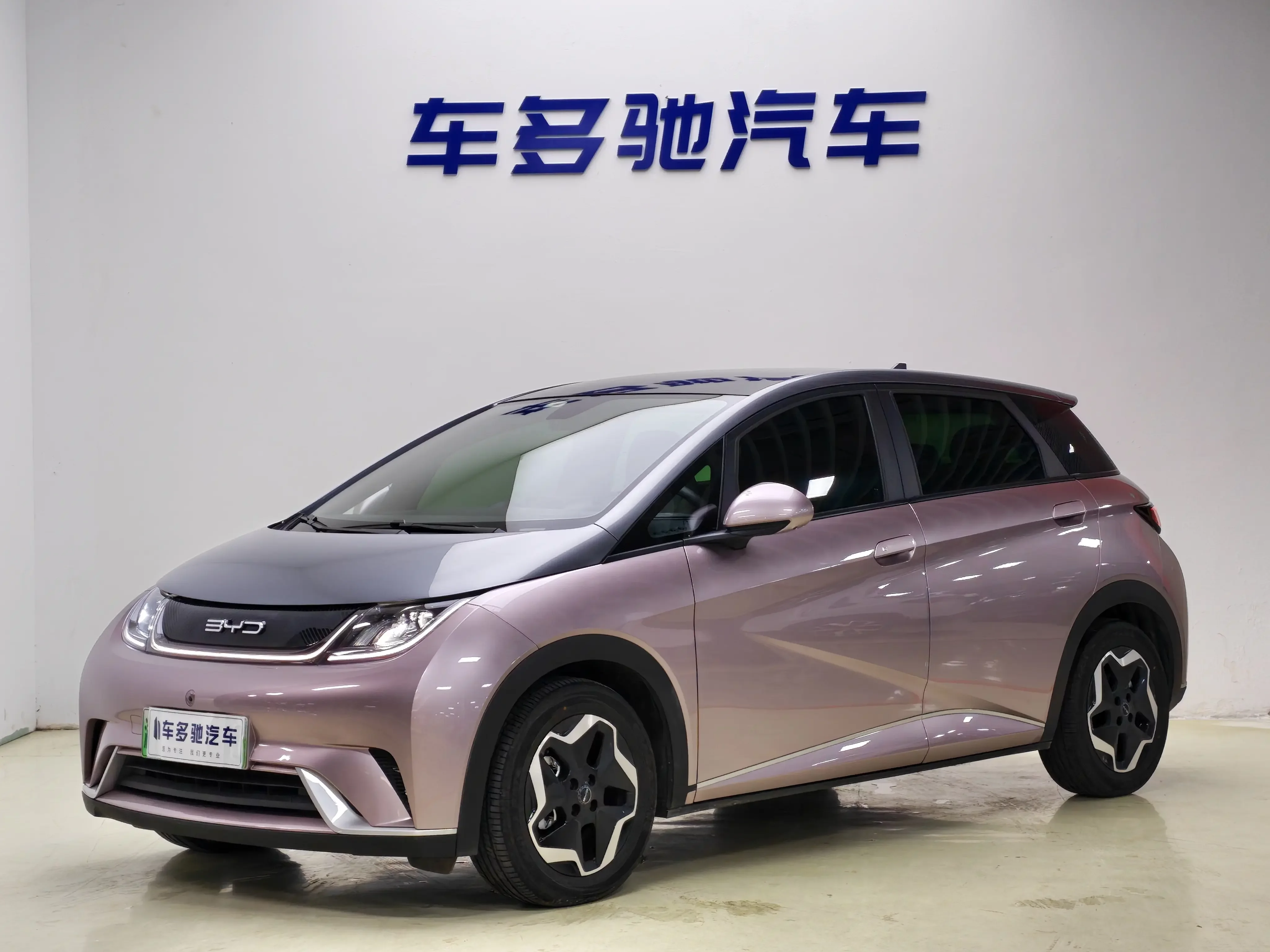 BYD dolphin