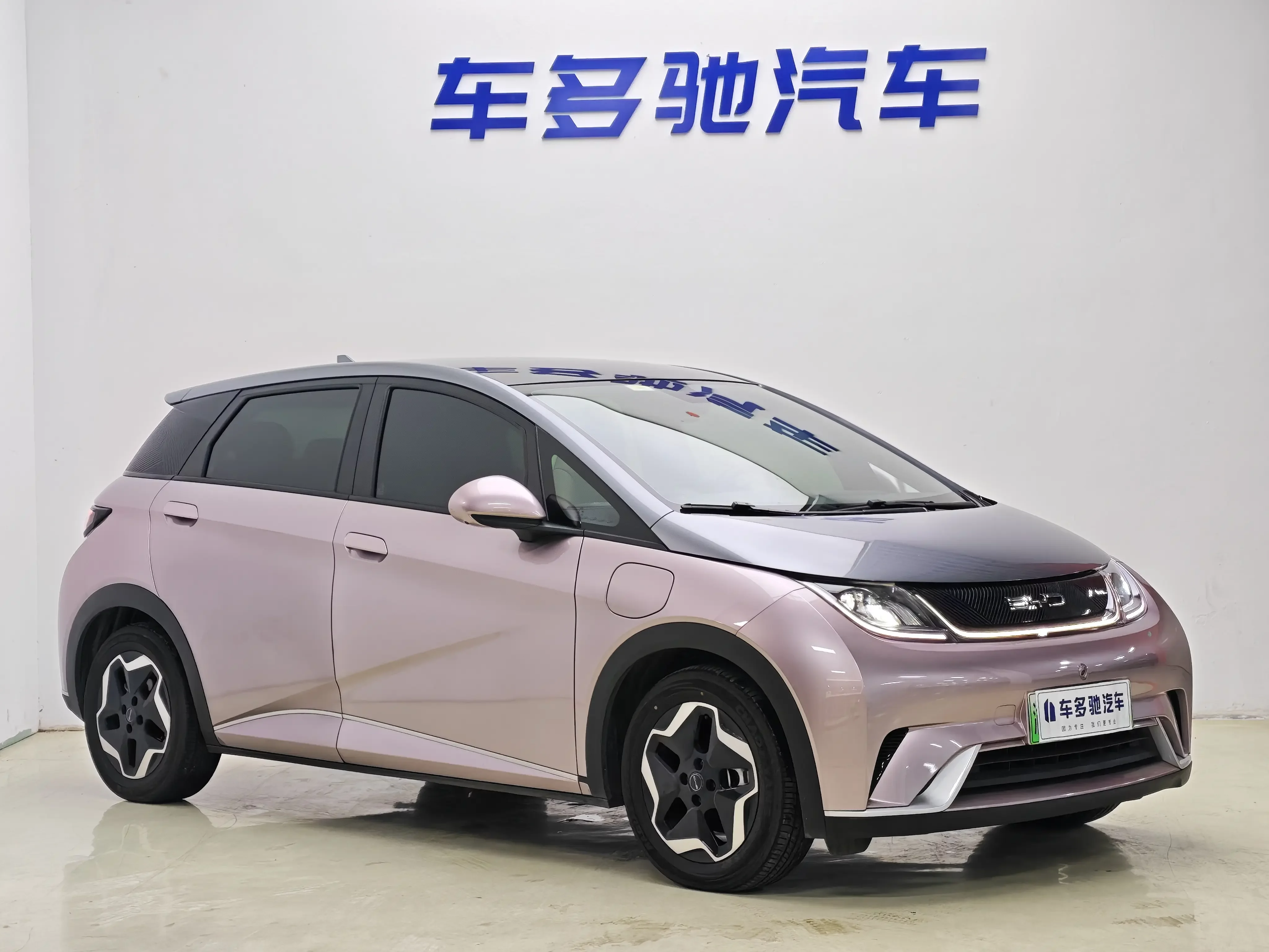 BYD dolphin