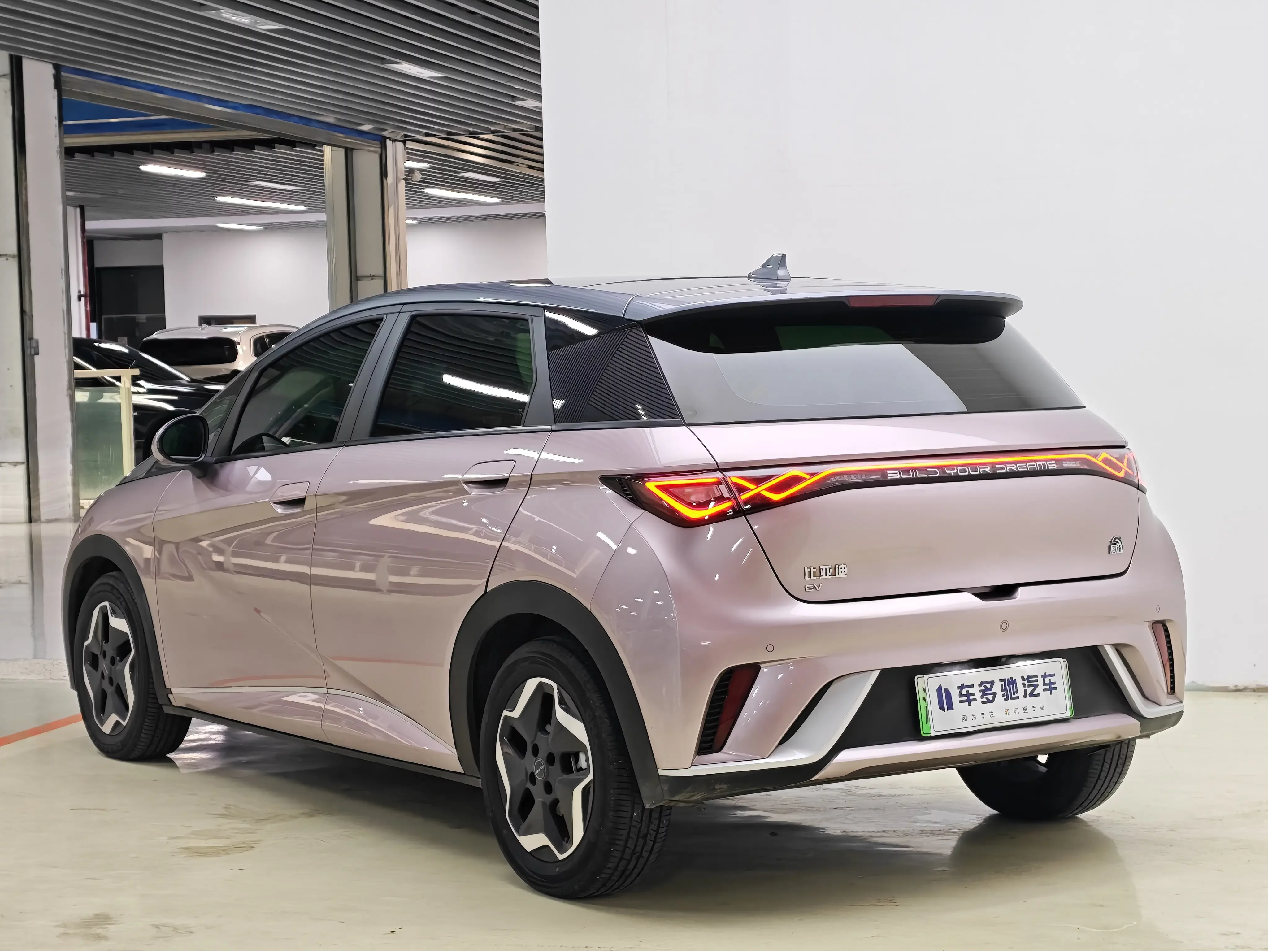 BYD dolphin