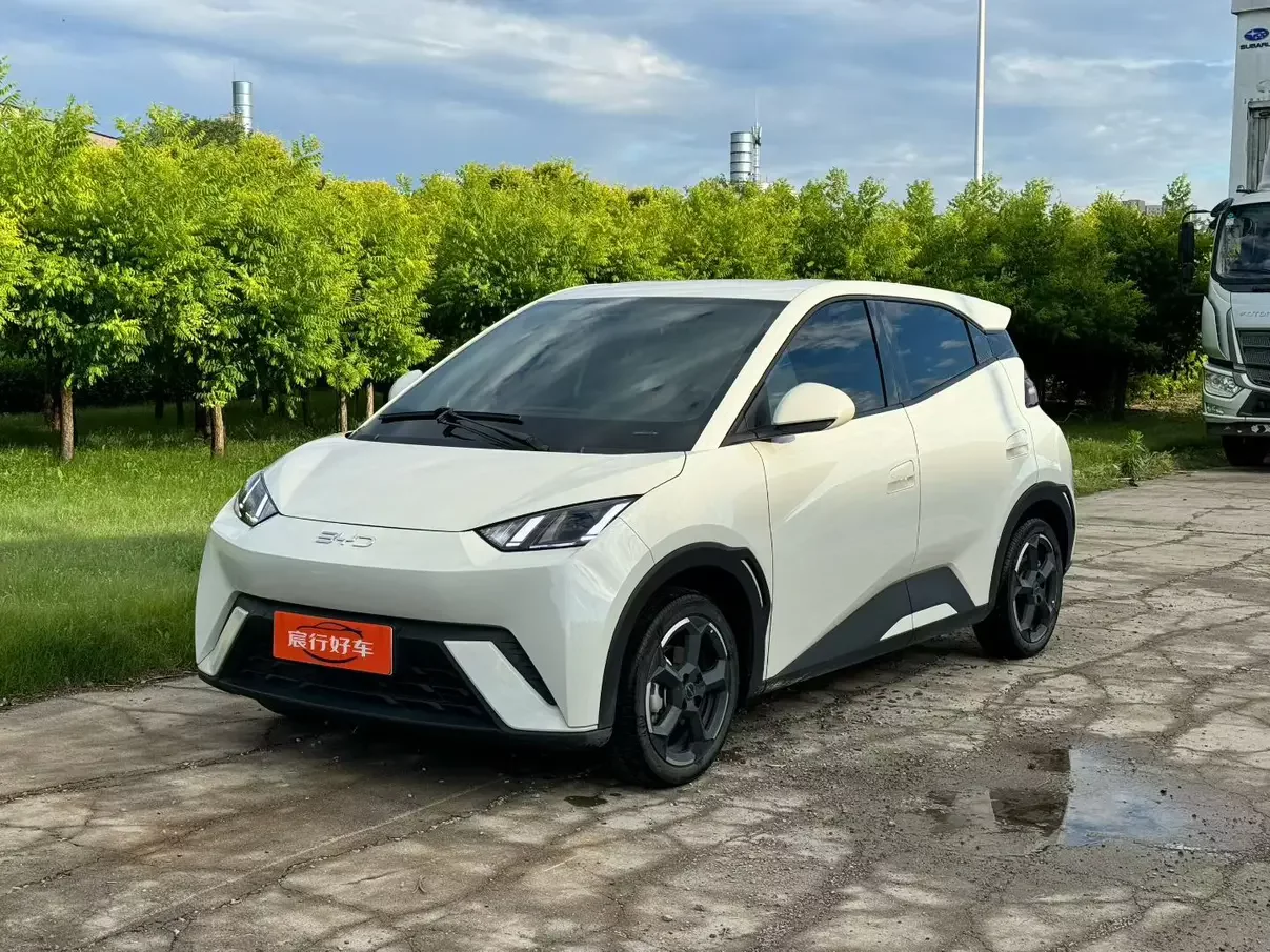 BYD seagull