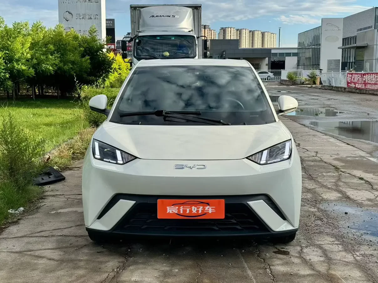 BYD seagull