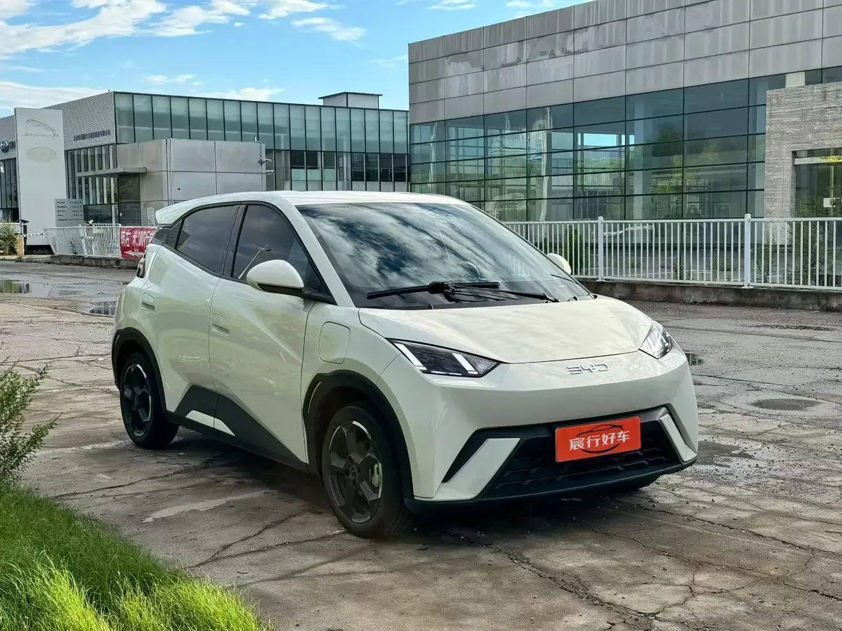 BYD seagull