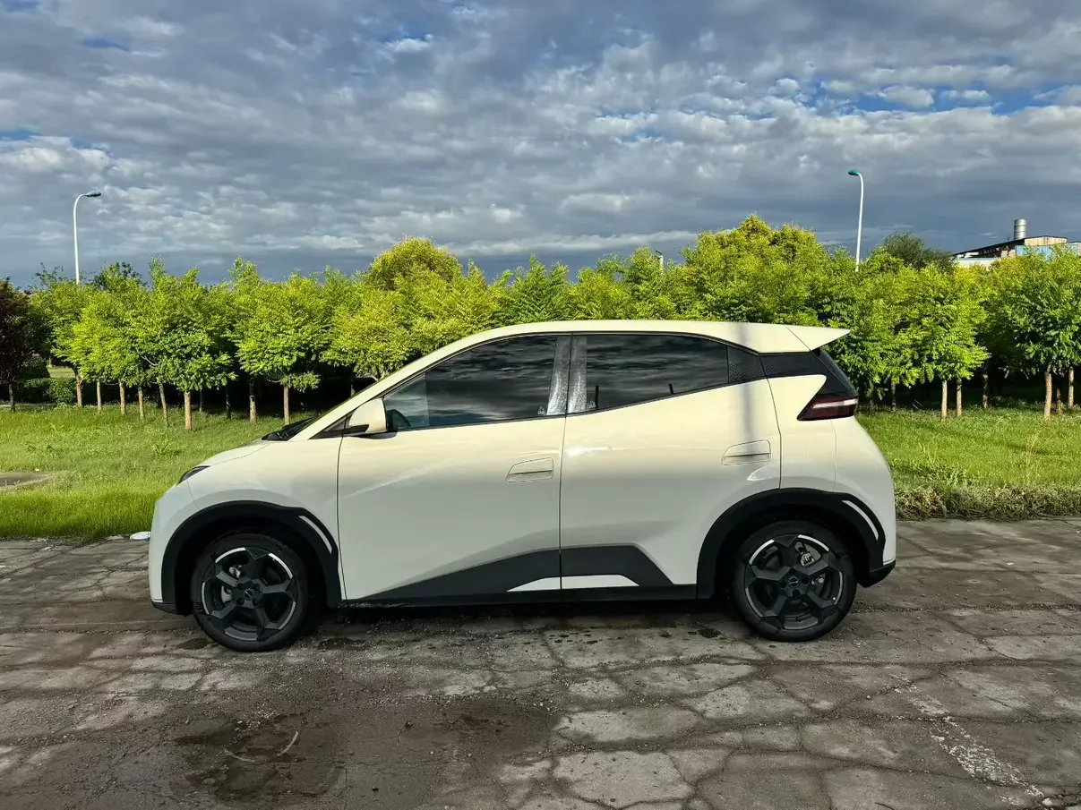 BYD seagull