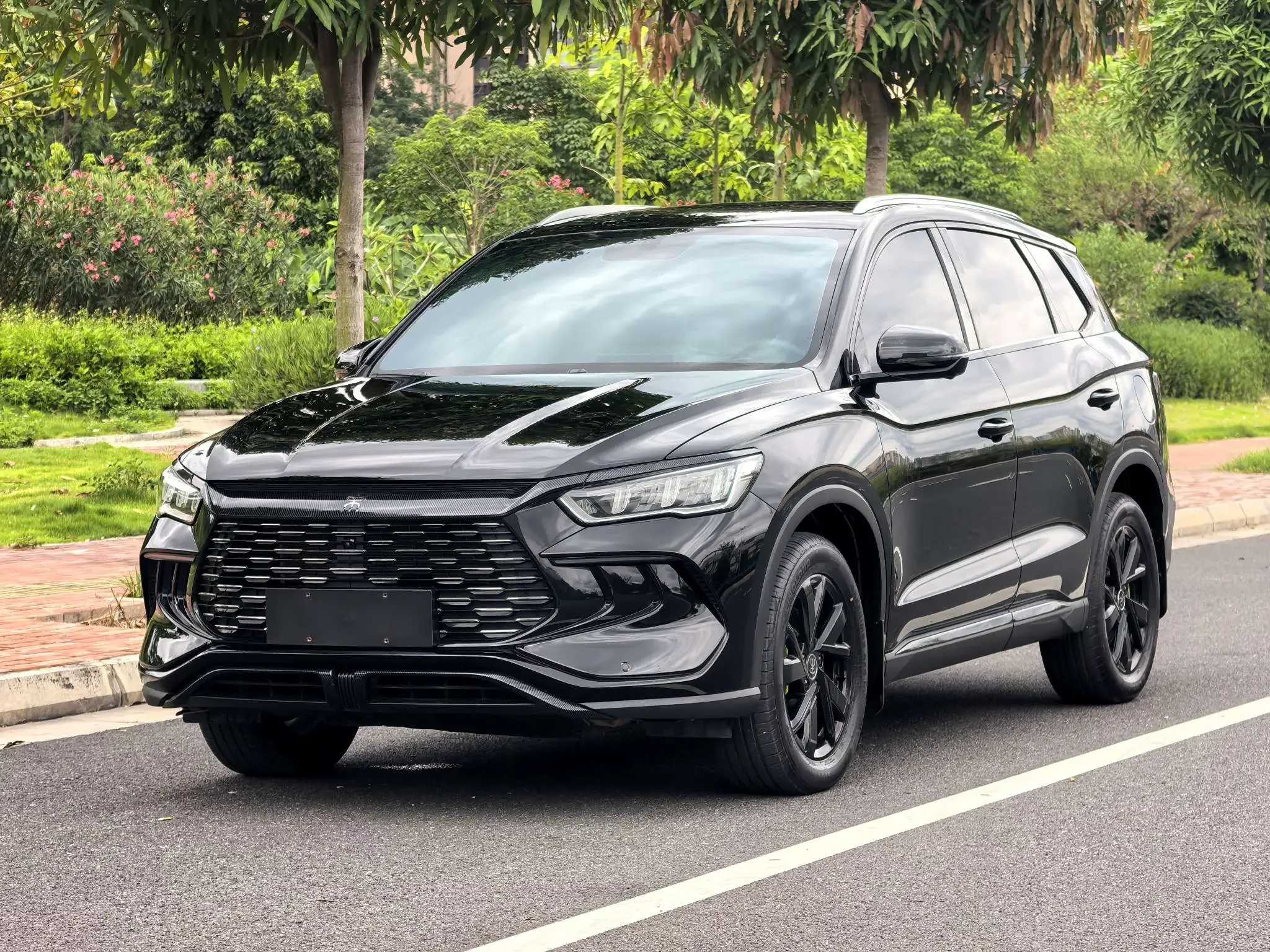 BYD Song Pro DM
